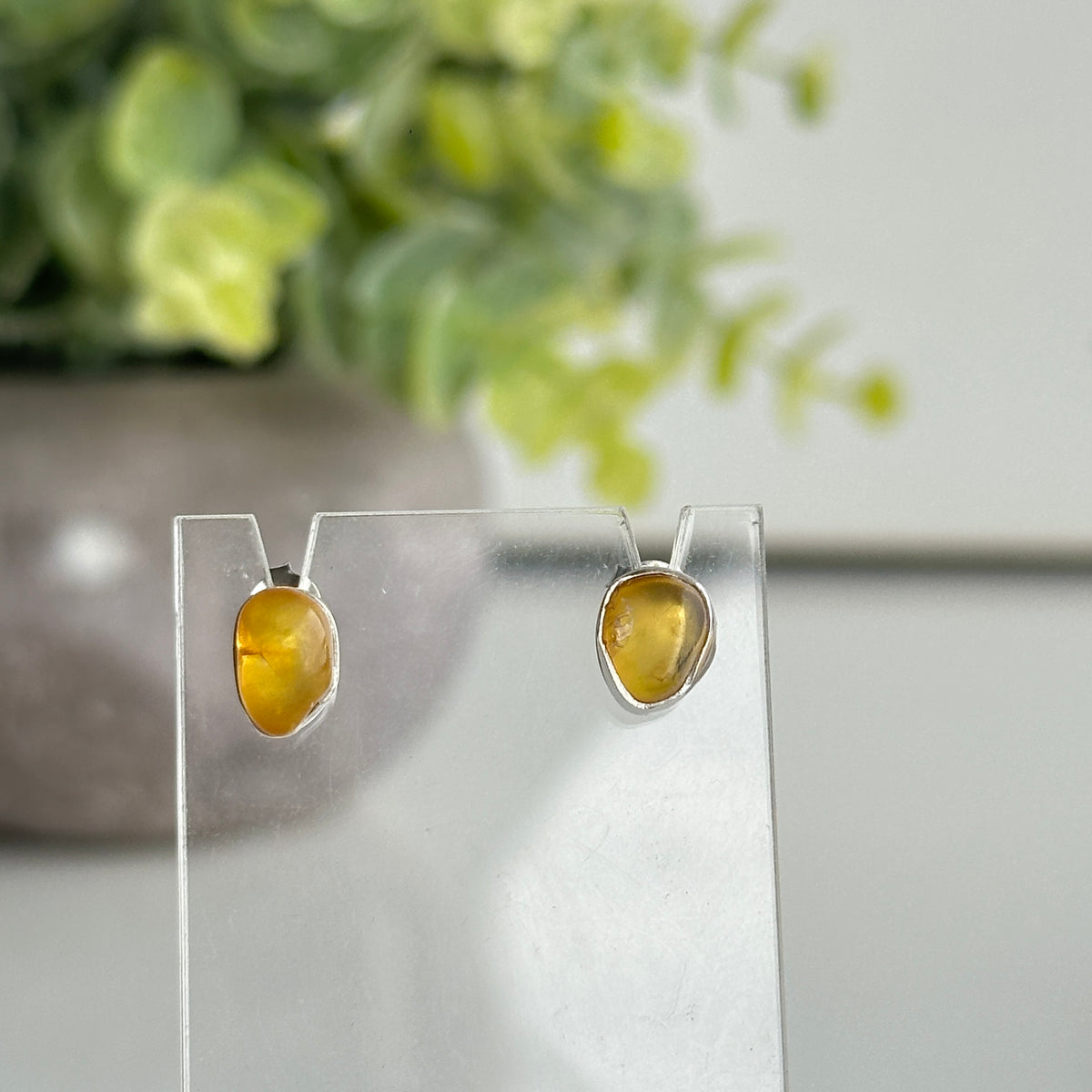 Baltic Amber Stud Earrings