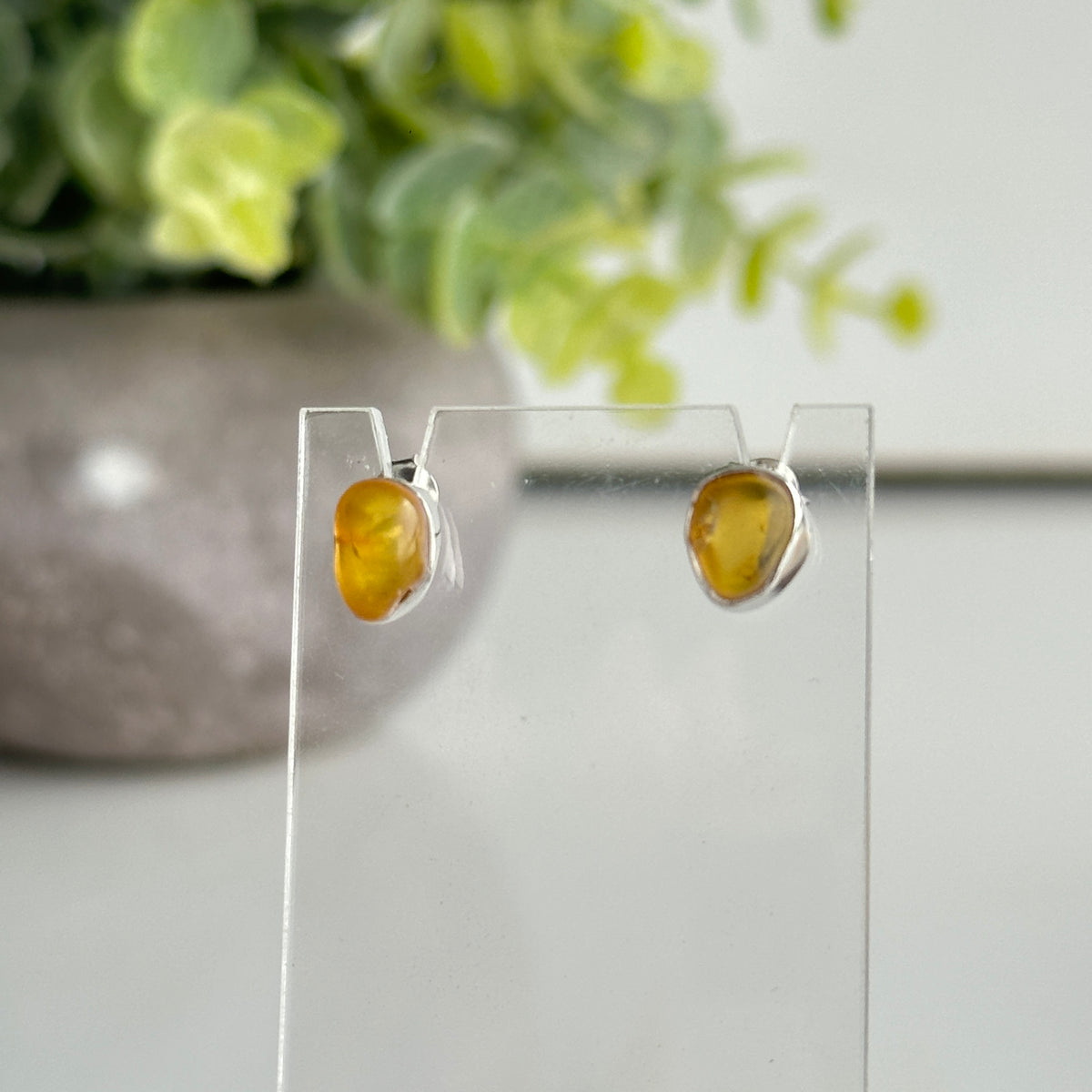 Baltic Amber Stud Earrings