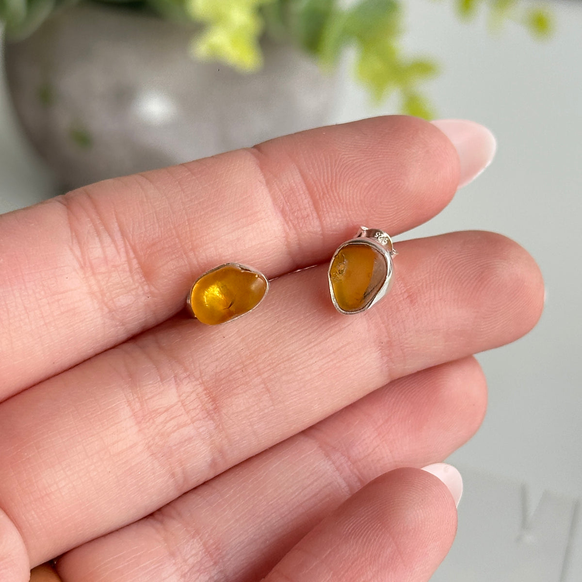 Baltic Amber Stud Earrings