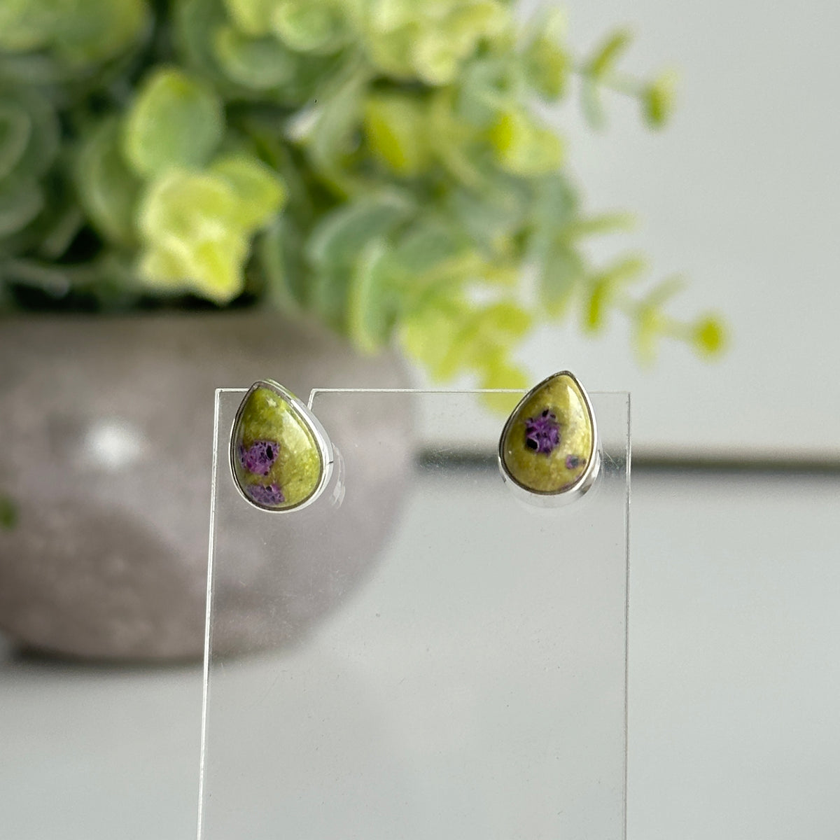 Stichtite In Serpentine Teardrop Stud Earrings