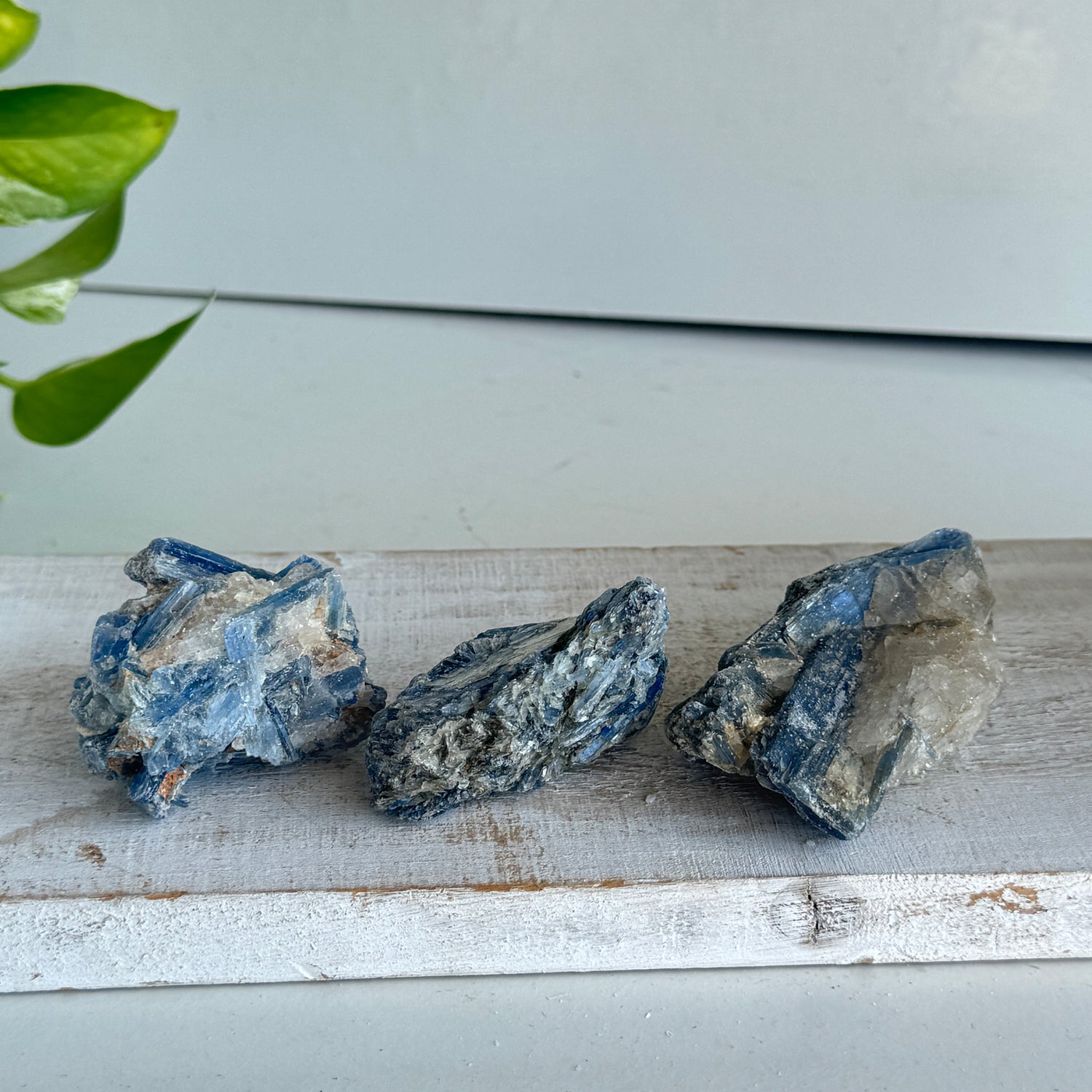 Blue Kyanite Chunk Med