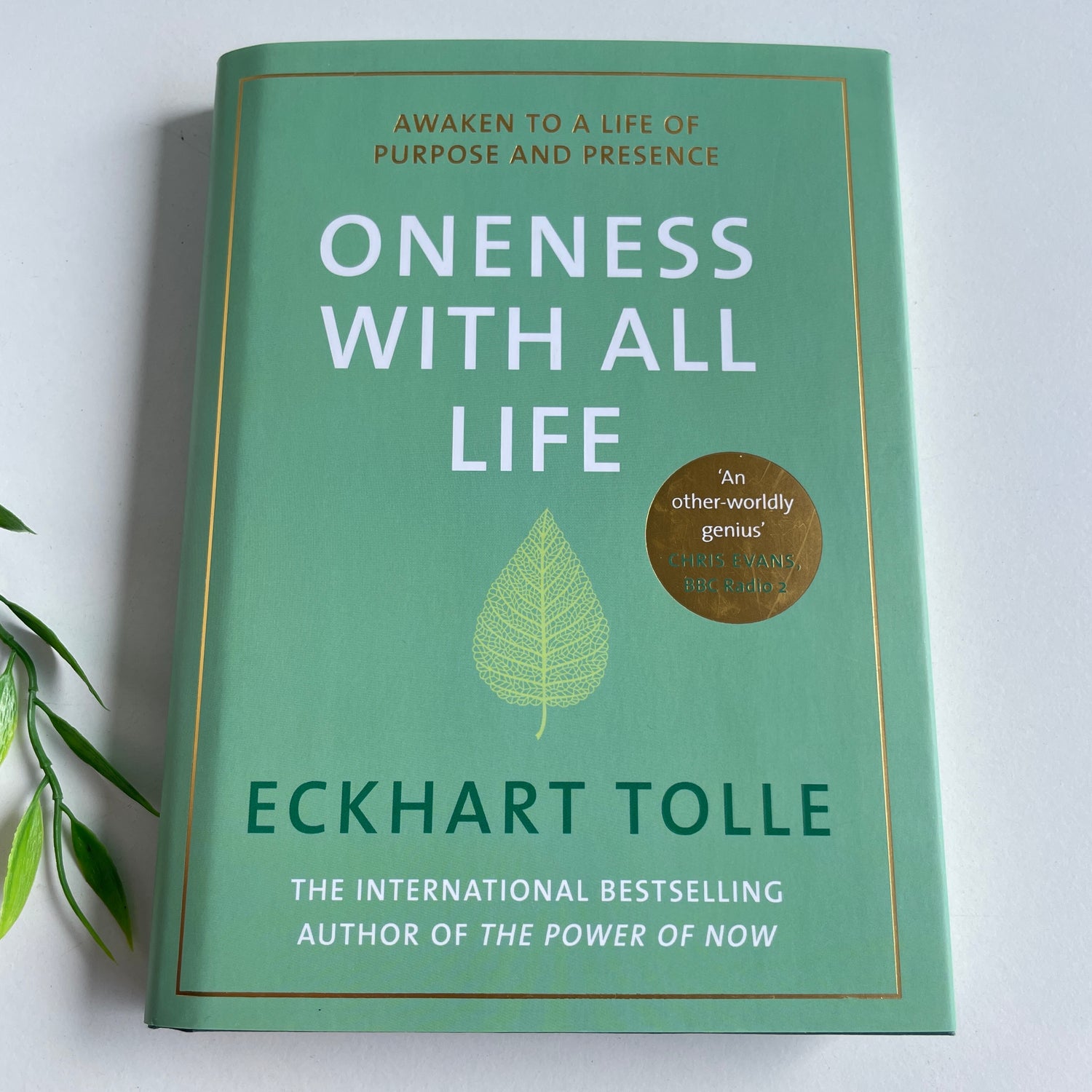 Eckhart Tolle Oneness With All Life