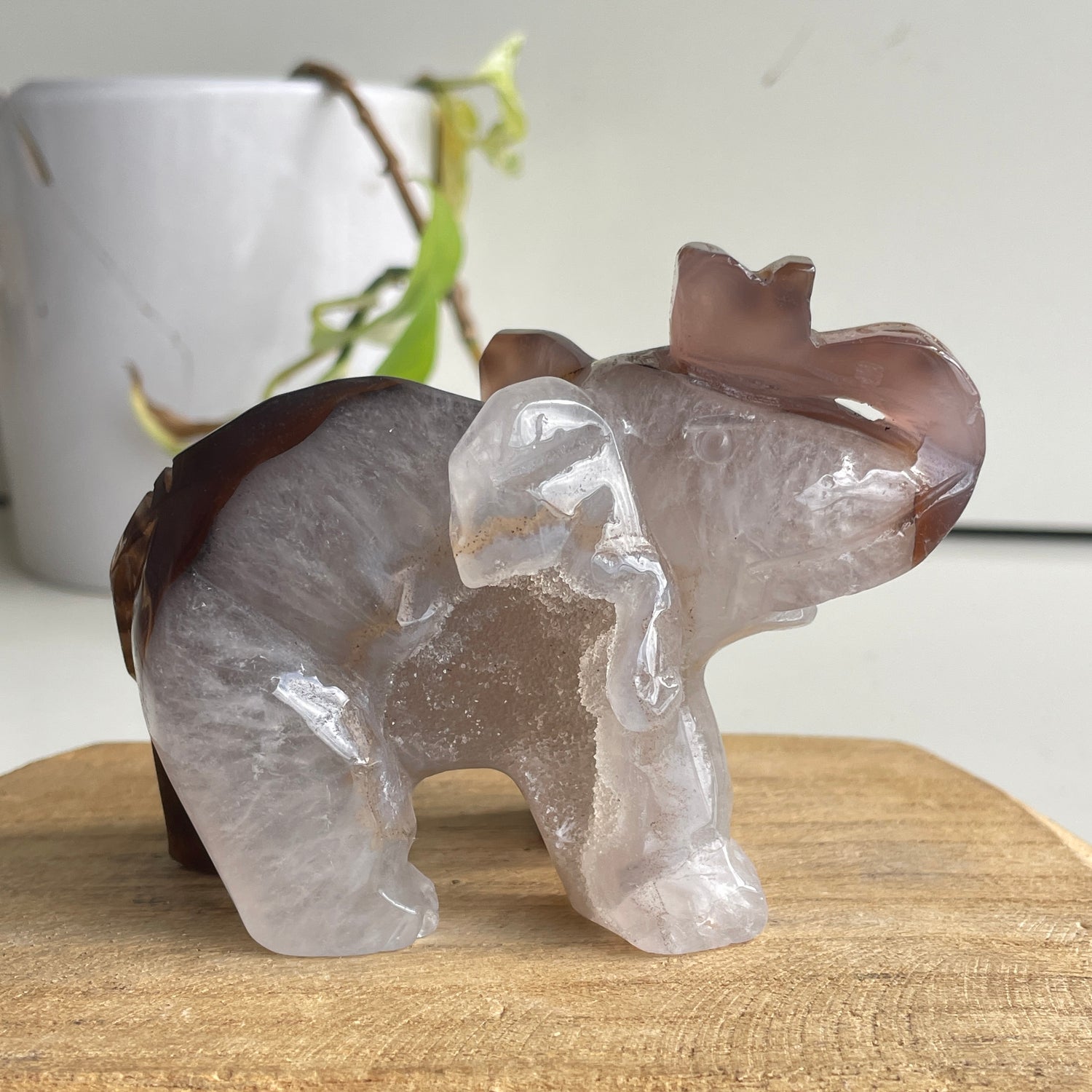 Agate Elephant 1