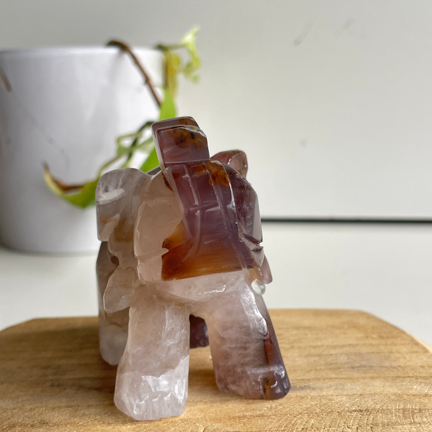 Agate Elephant 1