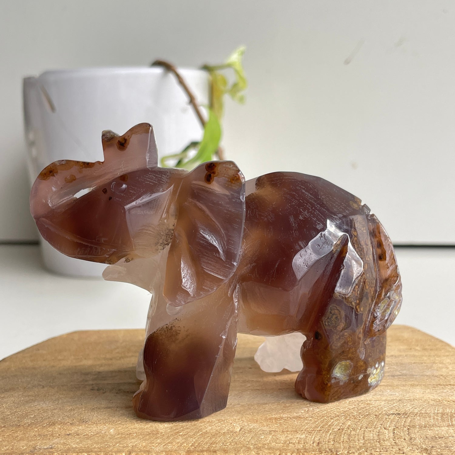 Agate Elephant 1
