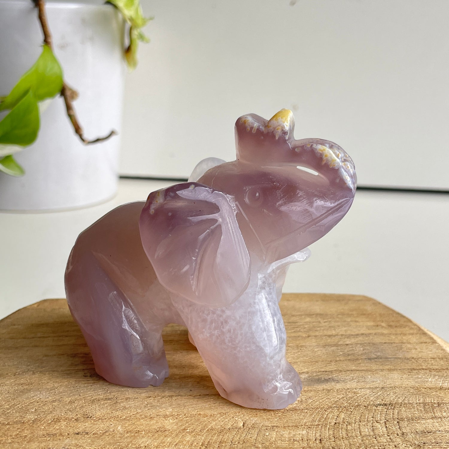 Agate Elephant 2