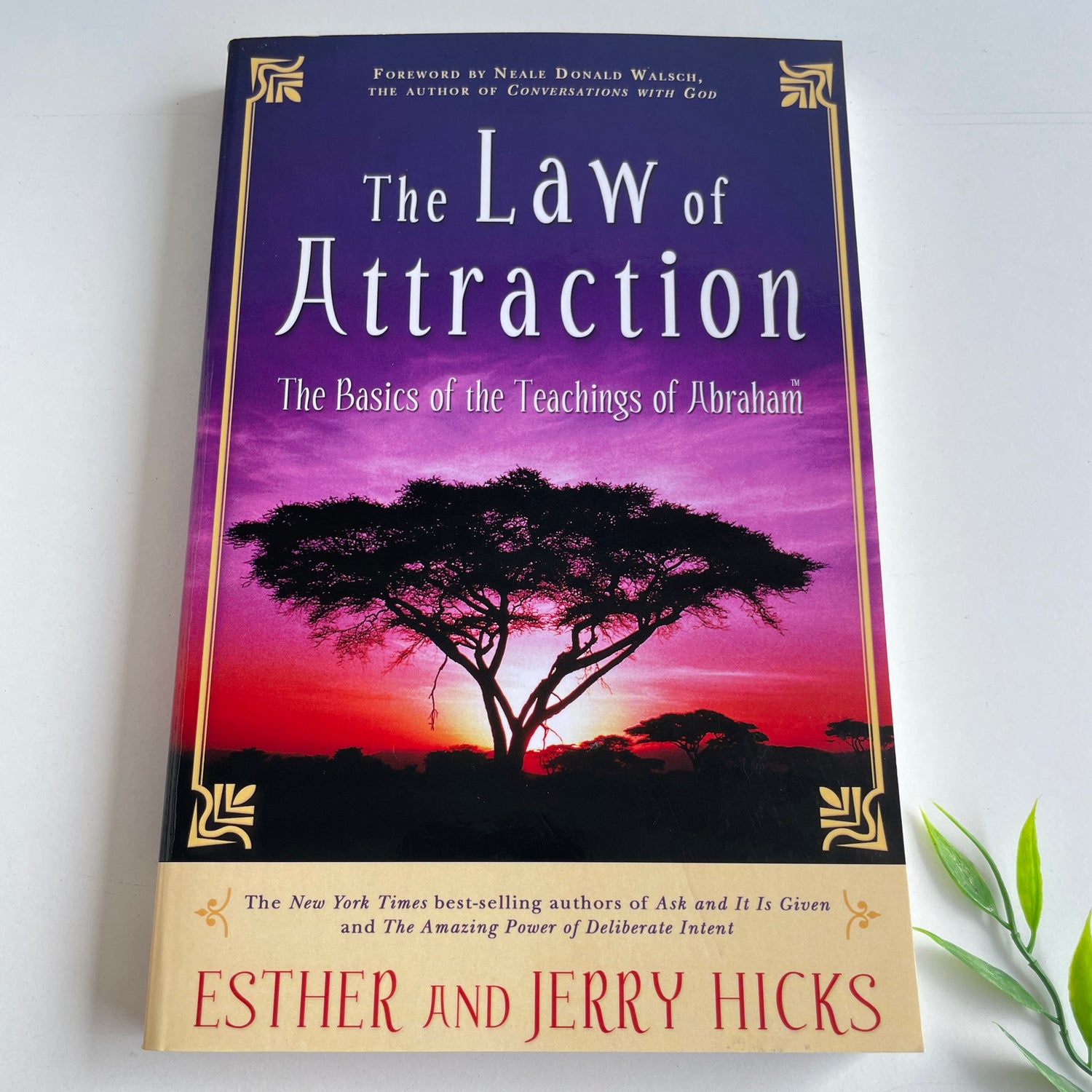 The Law Of Attraction Esther Jerry Hicks