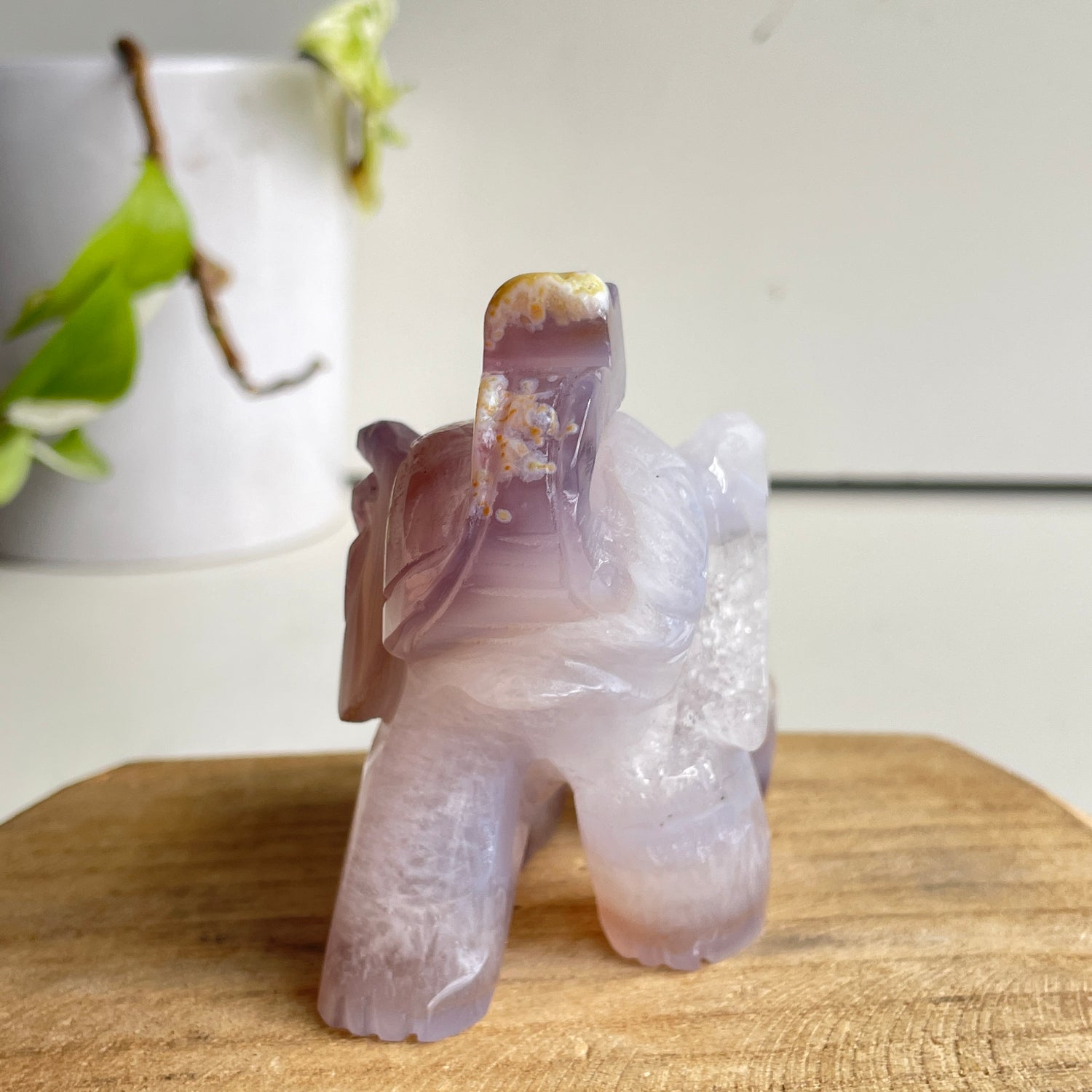 Agate Elephant 2