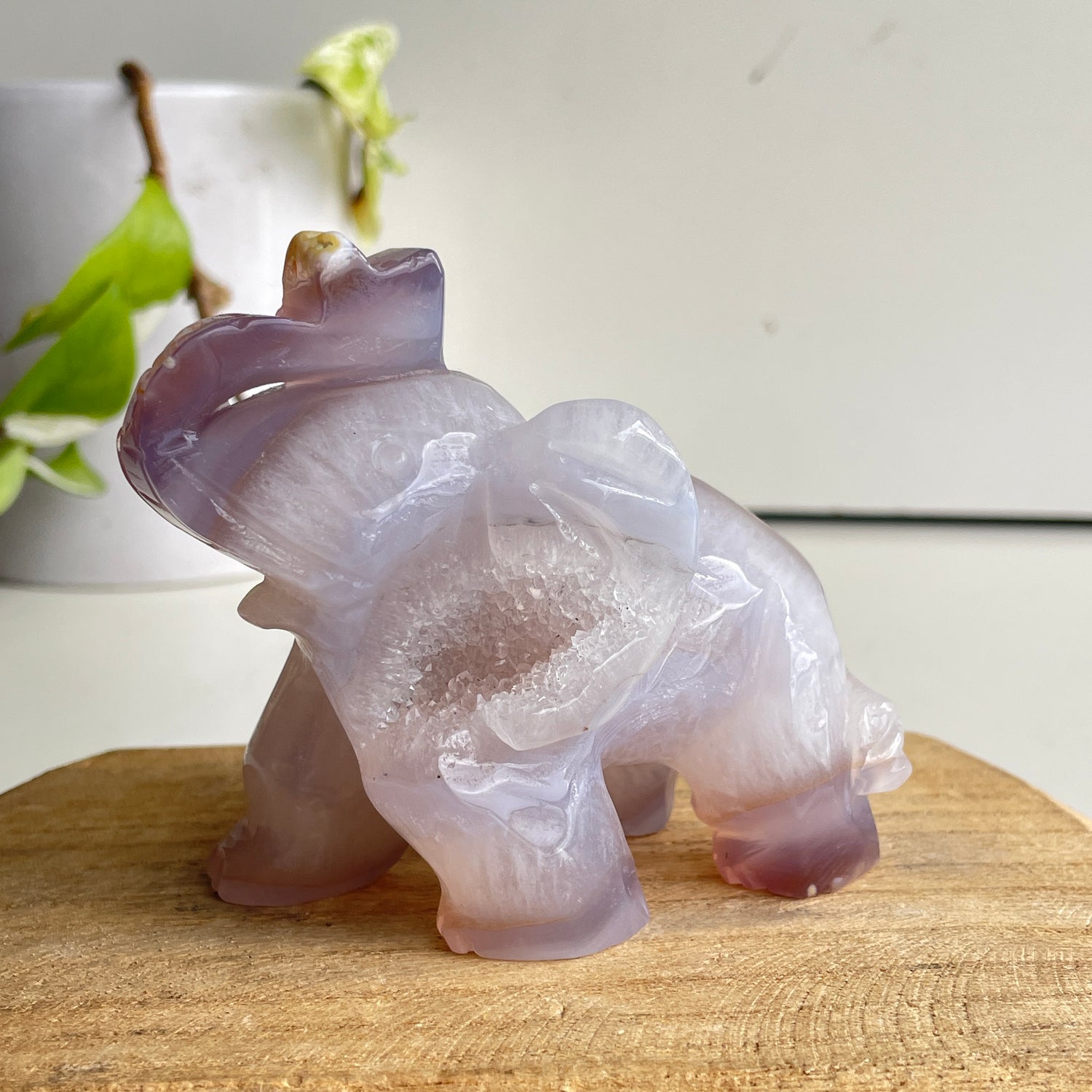 Agate Elephant 2