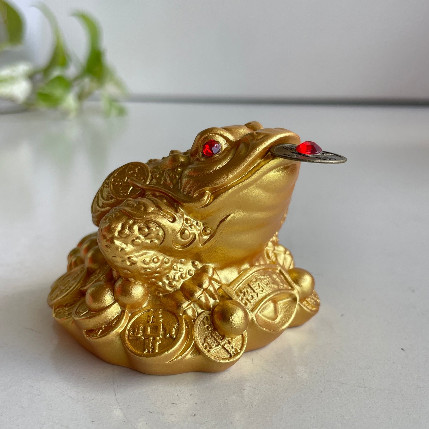 Bright Gold Money Frog Toad 6.5cm T3330-2