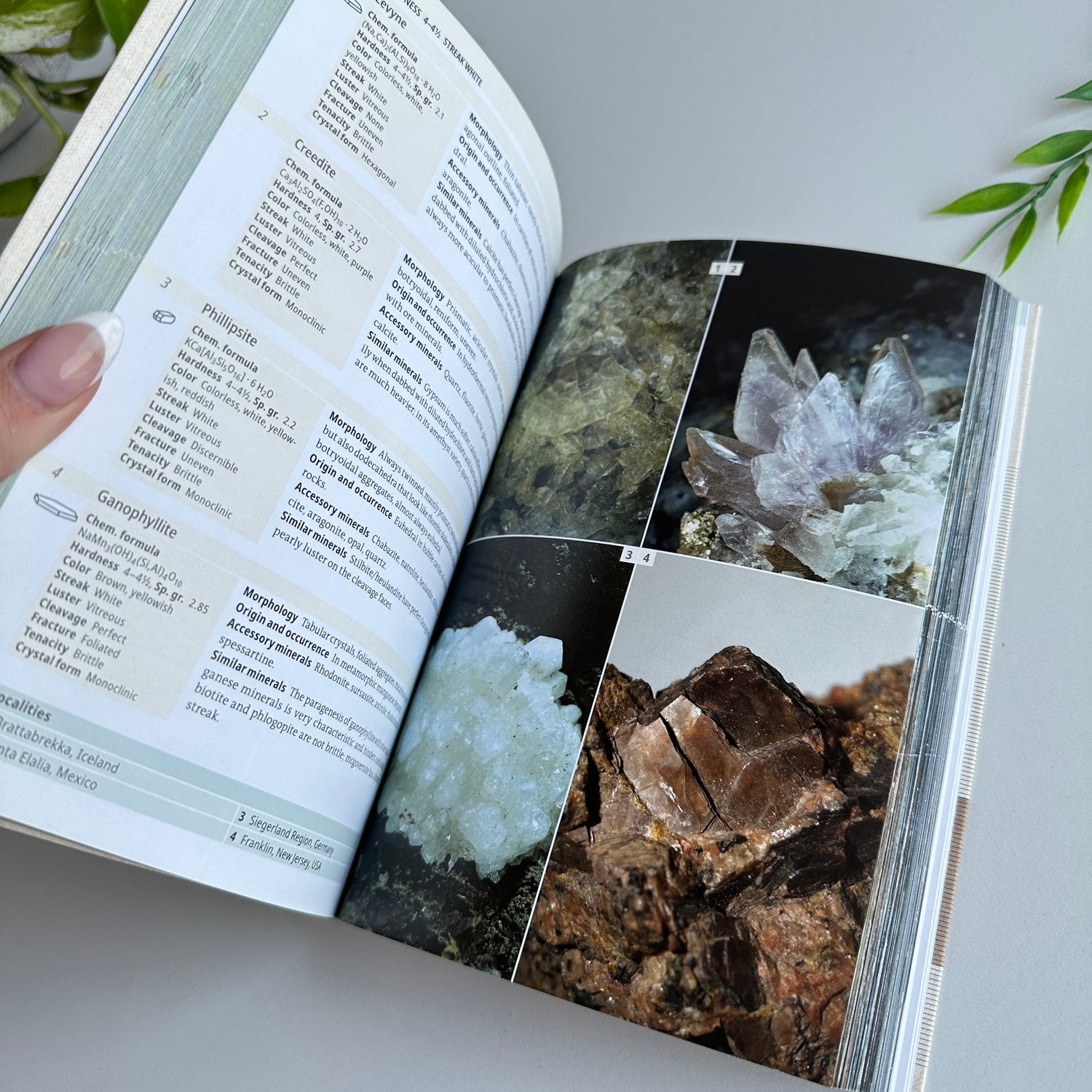 The Minerals Encyclopedia Rupert Hochleitner