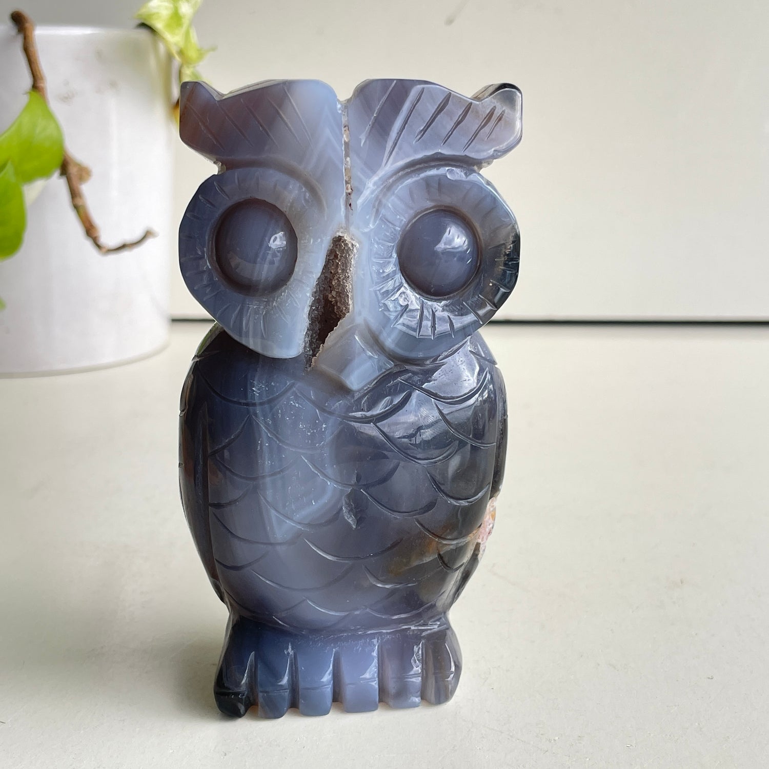 Agate Owl 2