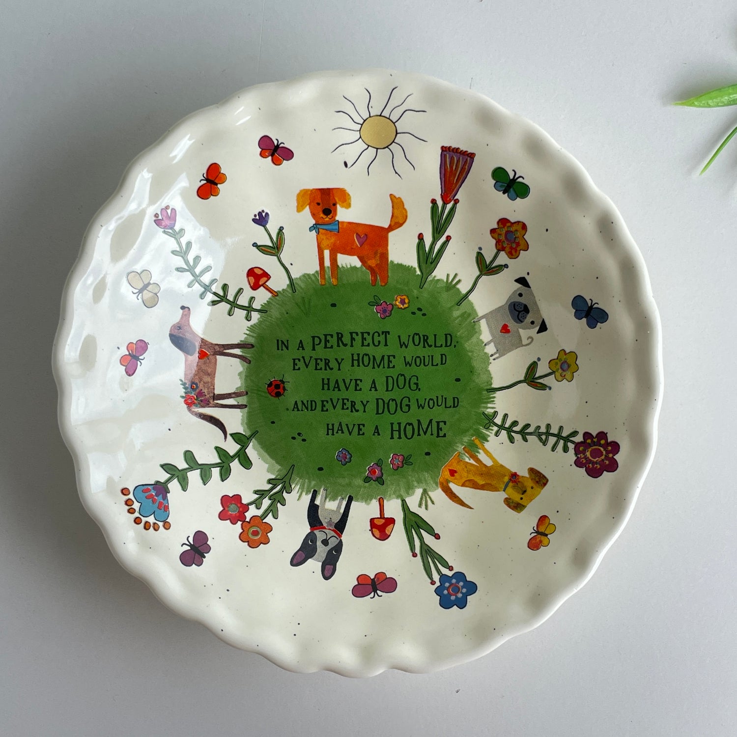 In A Perfect World Dog Plate DSH000097