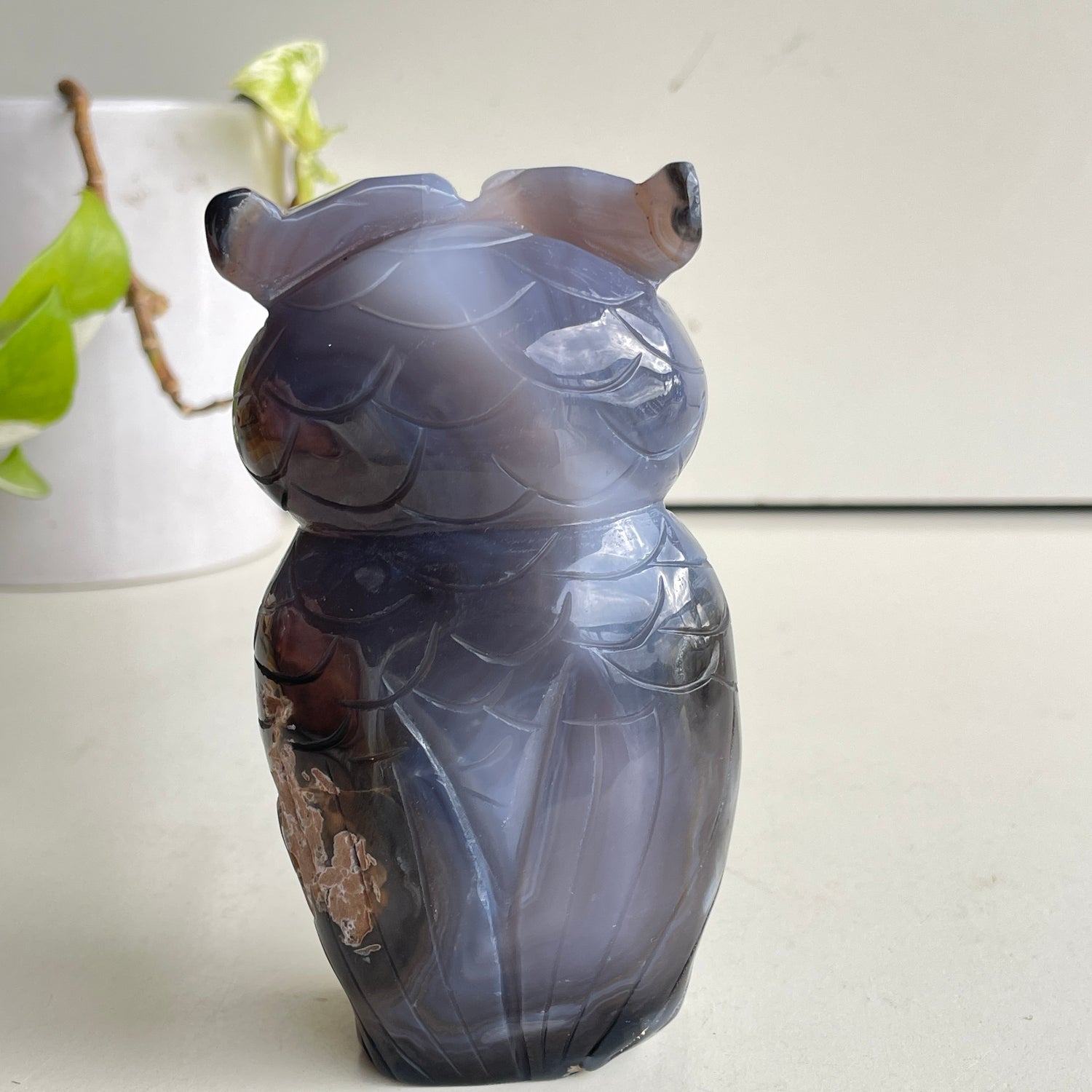 Agate Owl 2