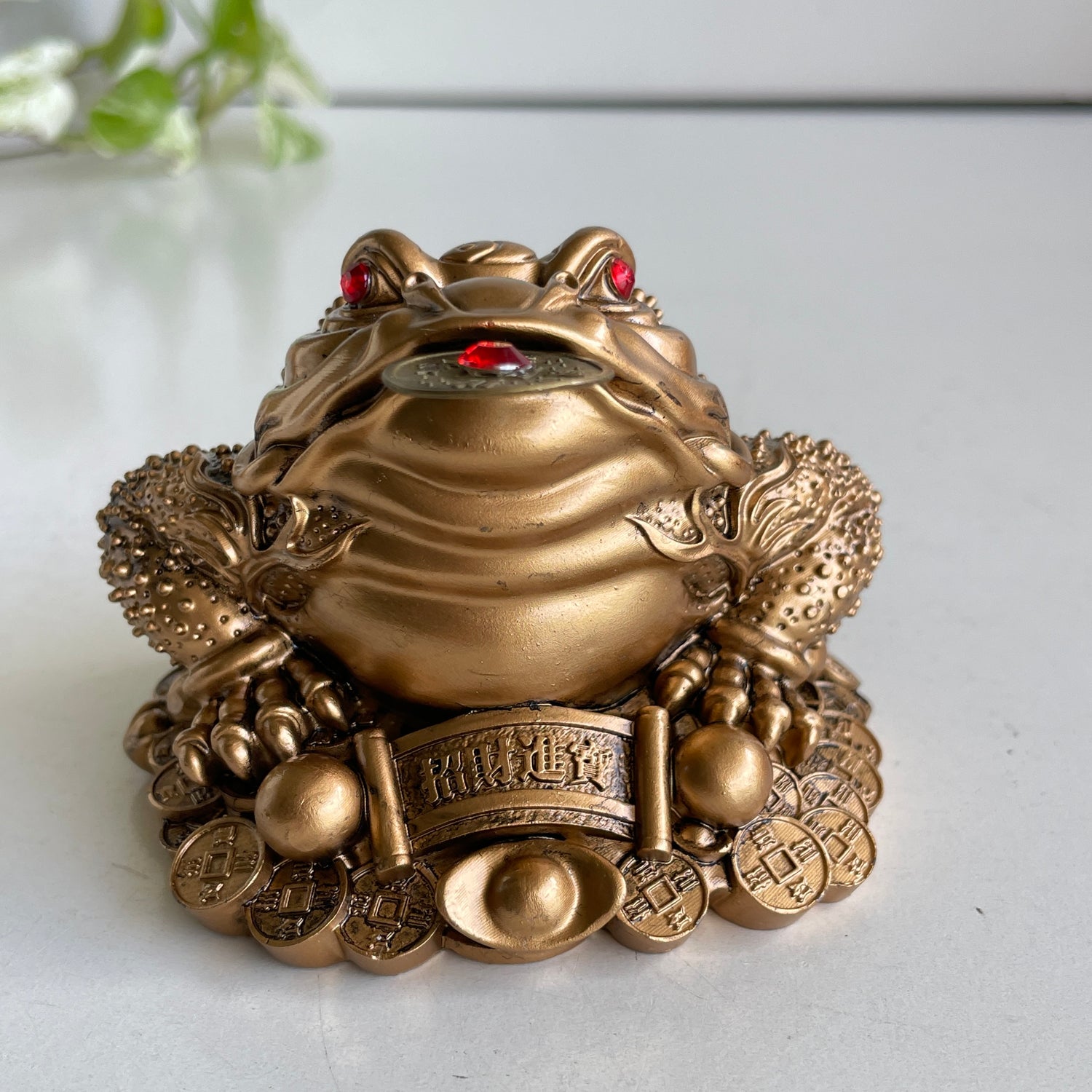 Gold Money Frog Toad Q2243-5