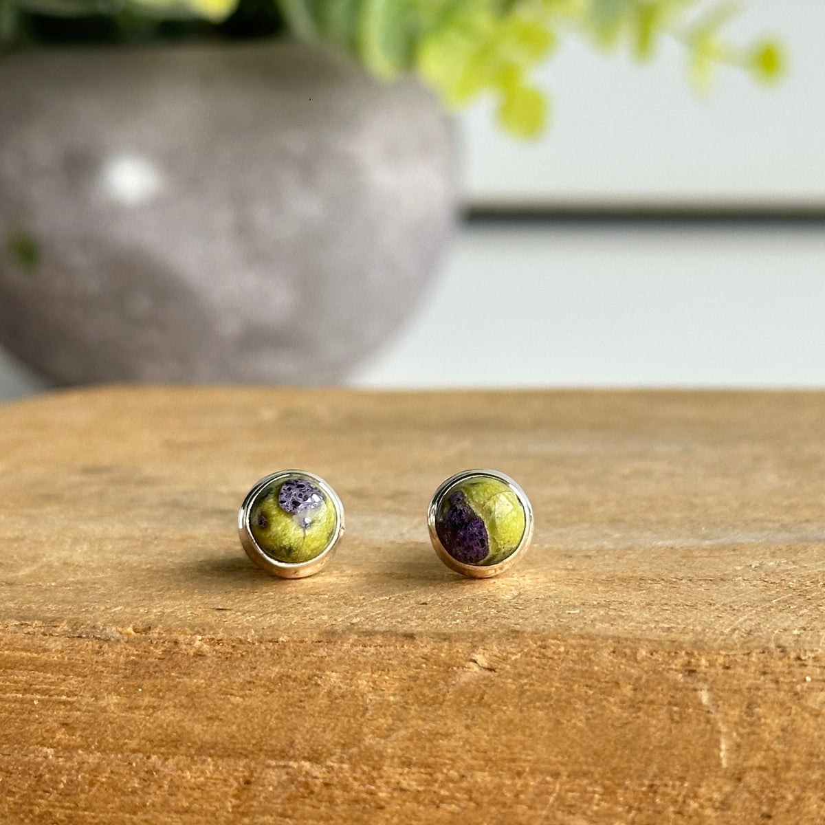 Stichtite In Serpentine Round Stud Earrings