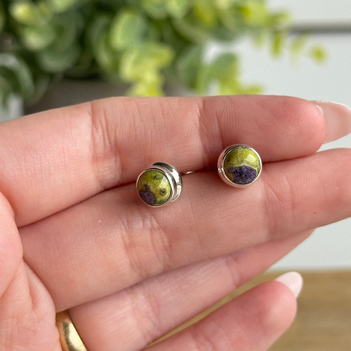 Stichtite In Serpentine Round Stud Earrings