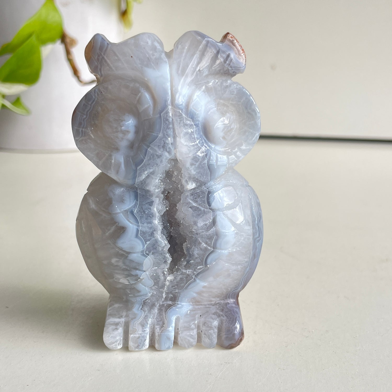 Agate Owl 1