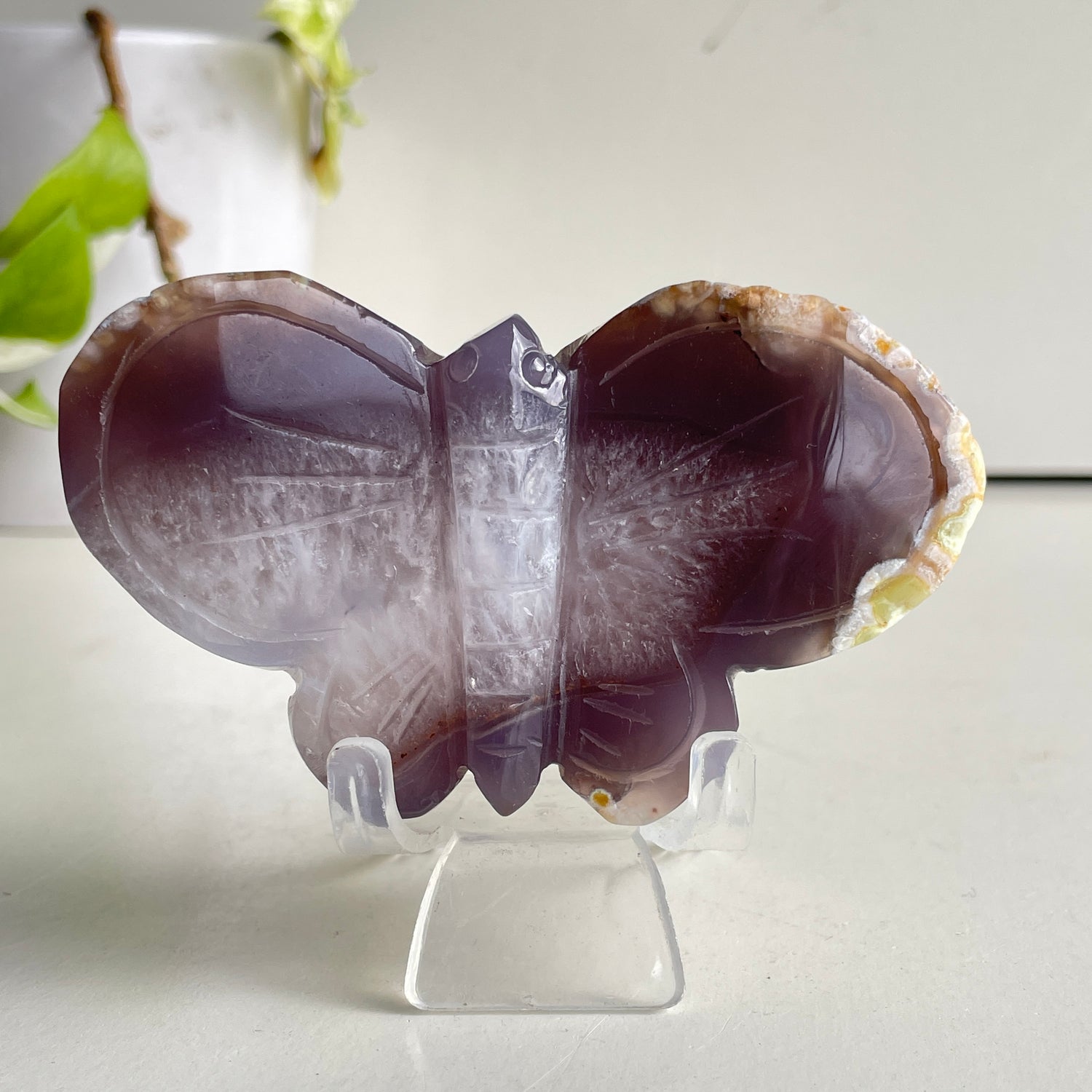 Agate Butterfly 1