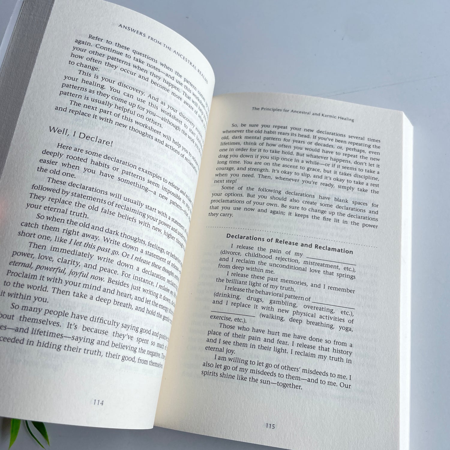 Answers From The Ancestral Realms Sharon Anne Klinger