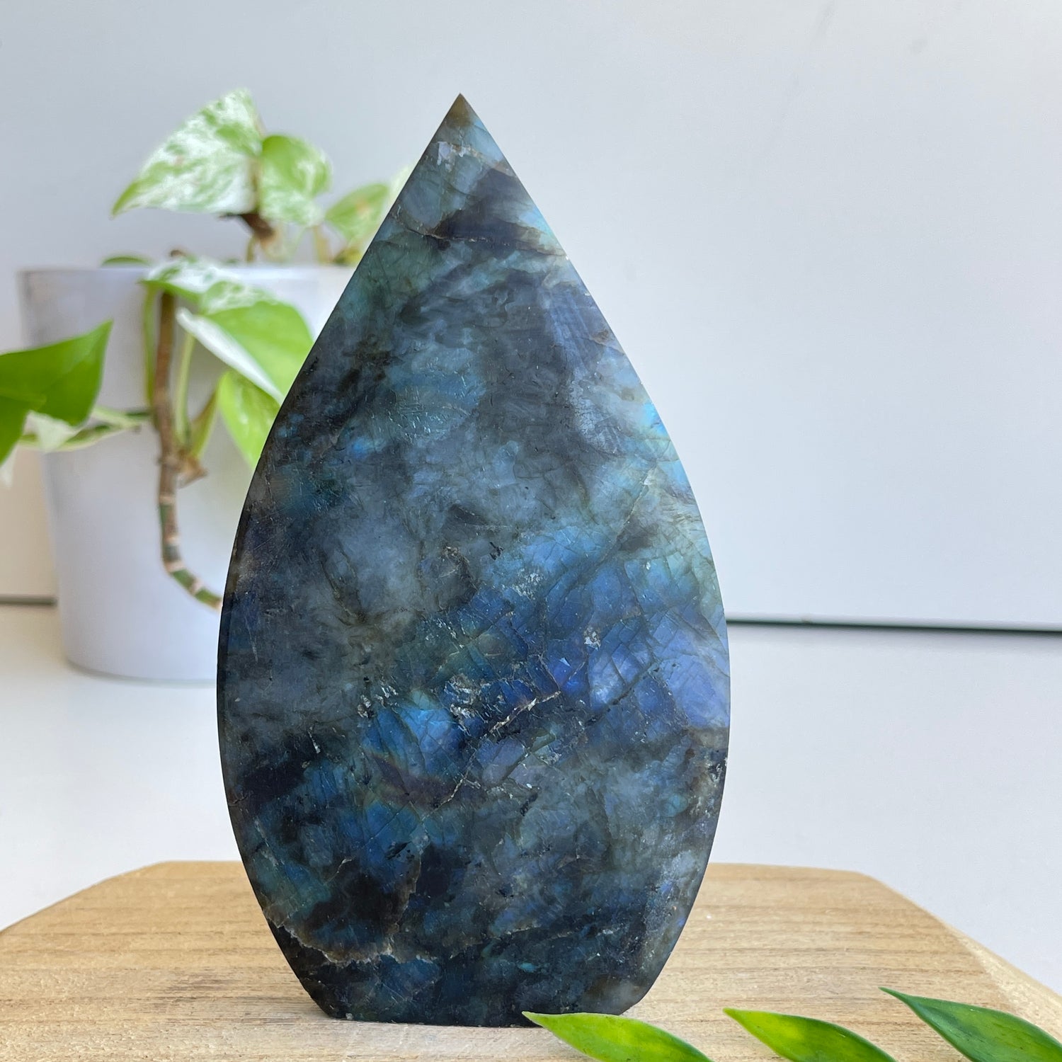 Labradorite Flame 12.8cm