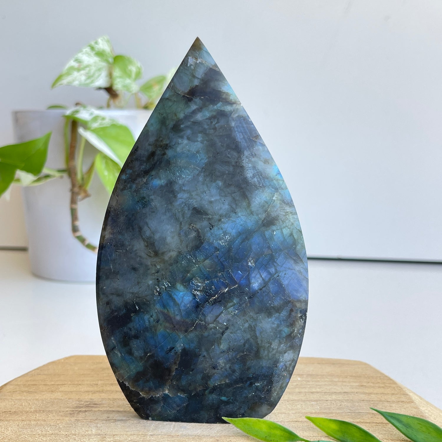 Labradorite Flame 12.8cm
