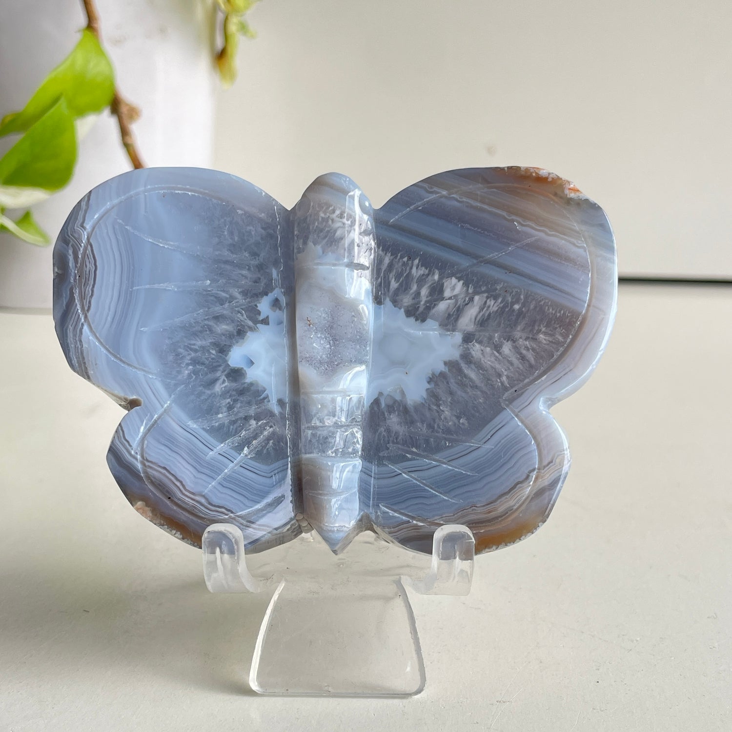 Agate Butterfly 2