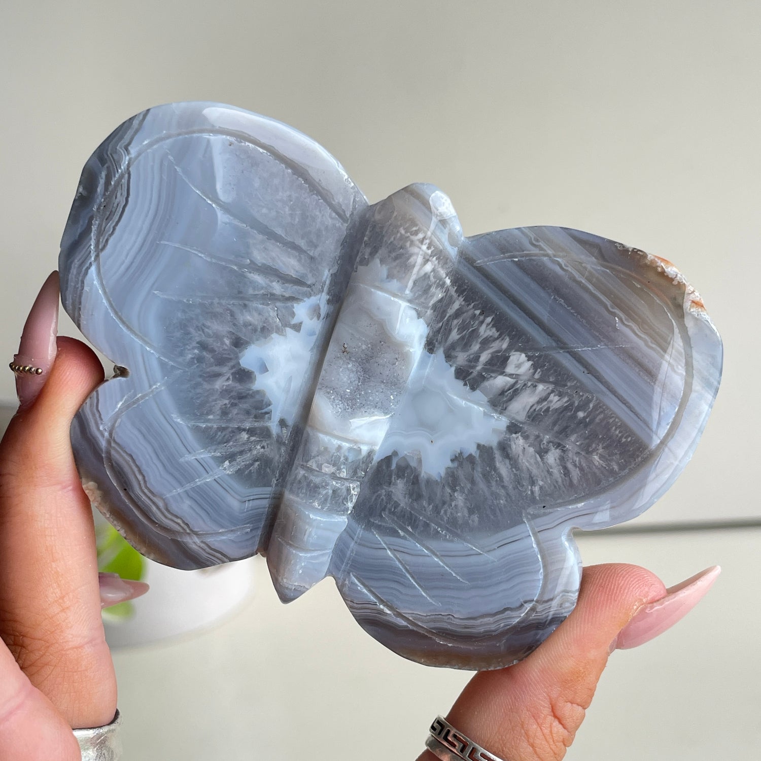 Agate Butterfly 2