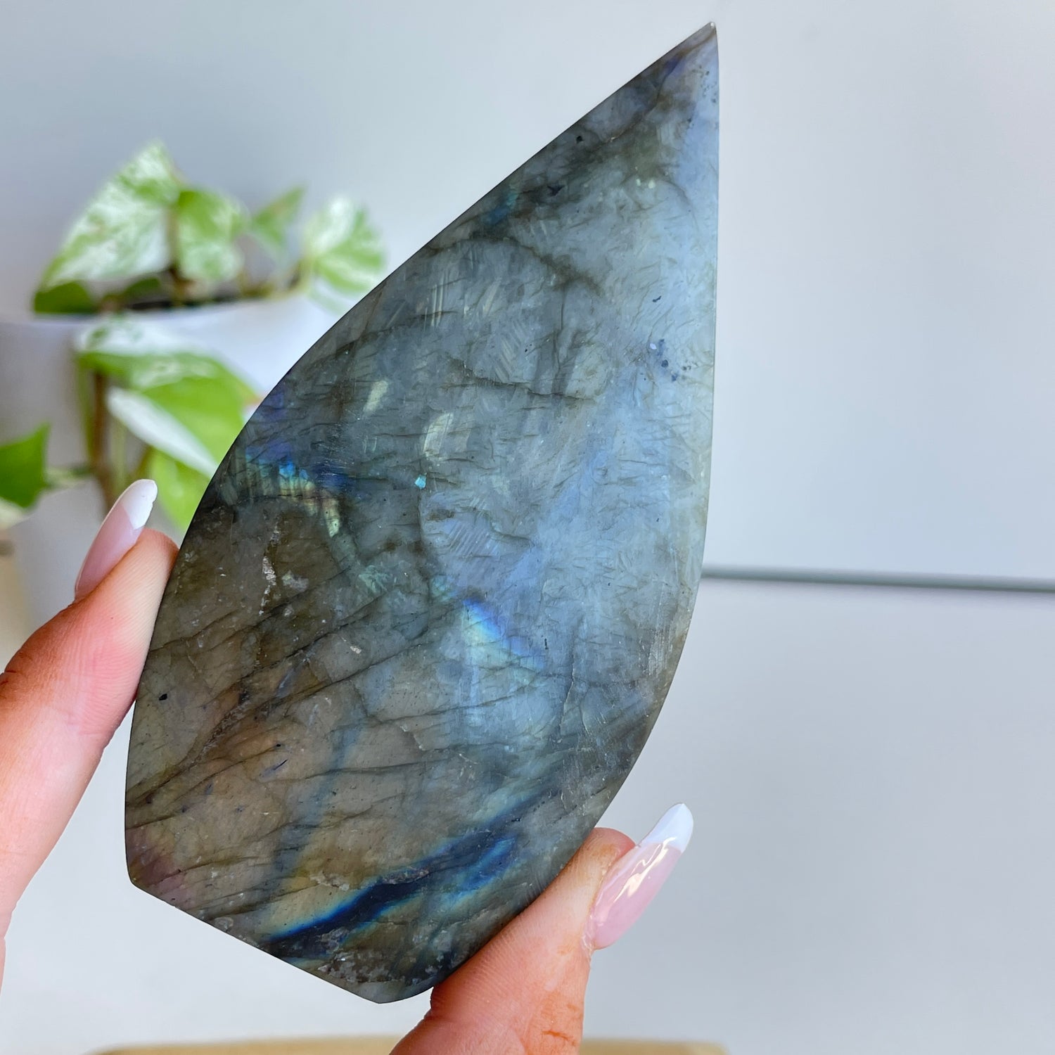 Labradorite Flame 11.5cm
