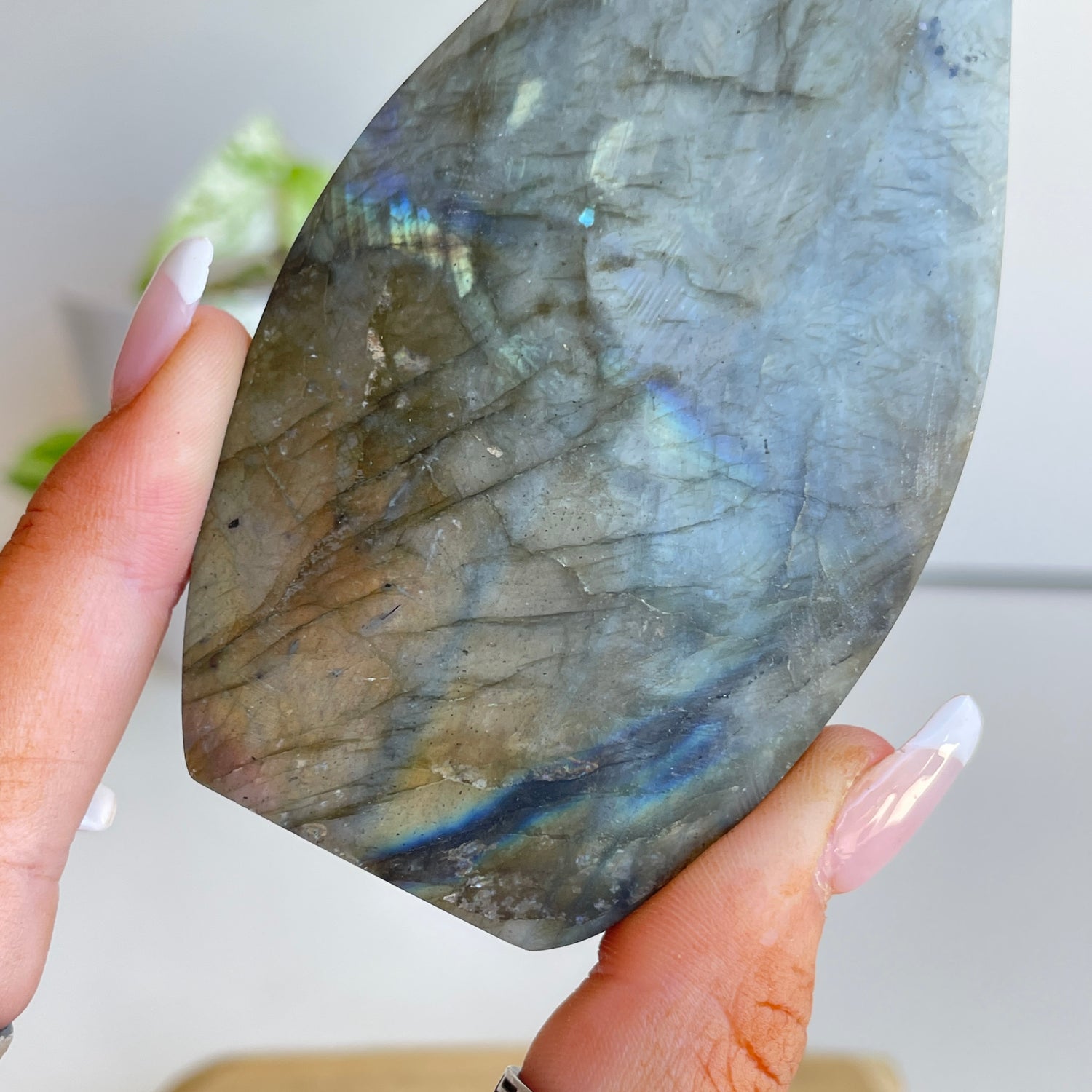 Labradorite Flame 11.5cm