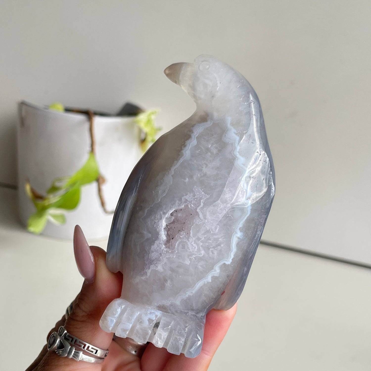 Agate Penguin