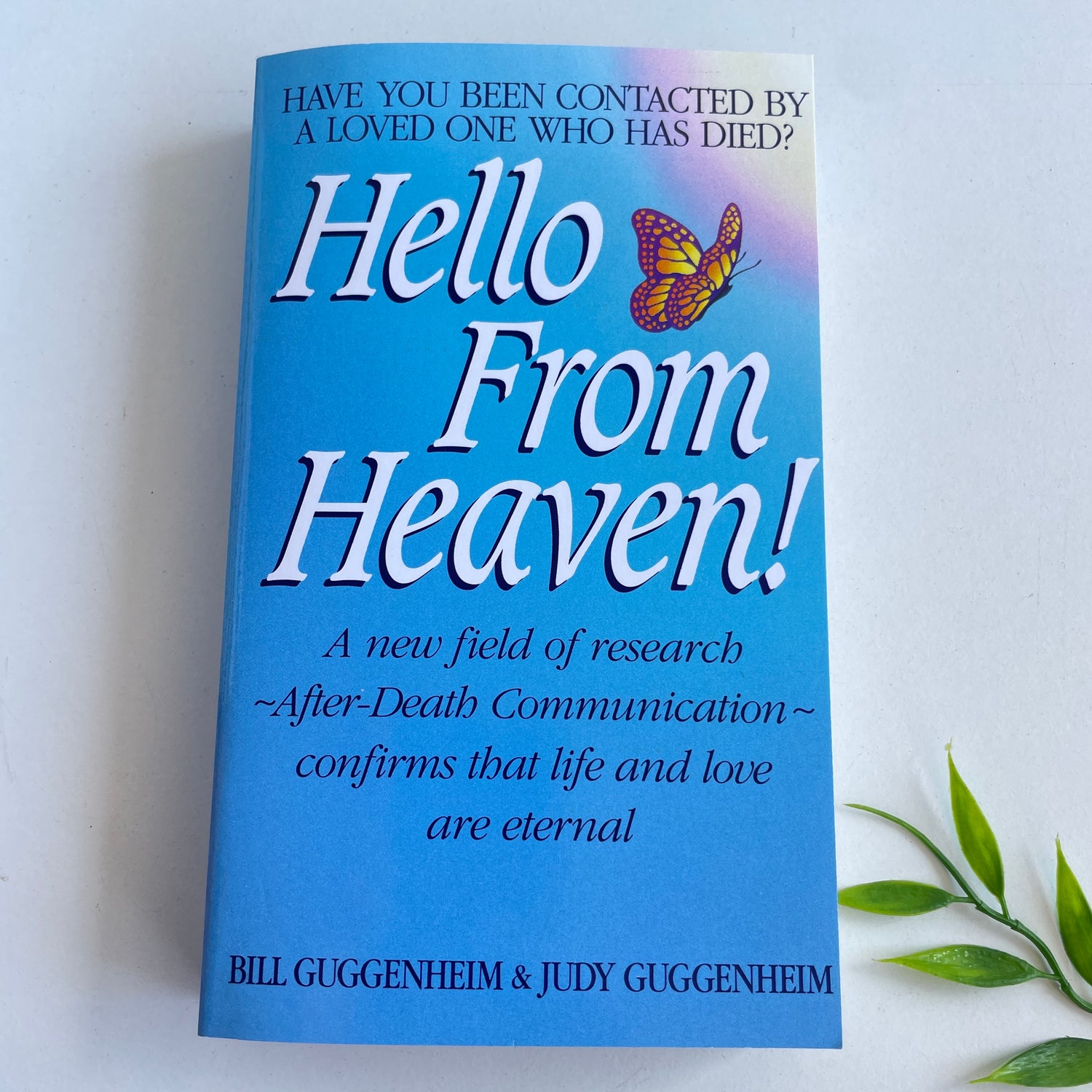 Hello From Heaven Bill Judy Guggenheim