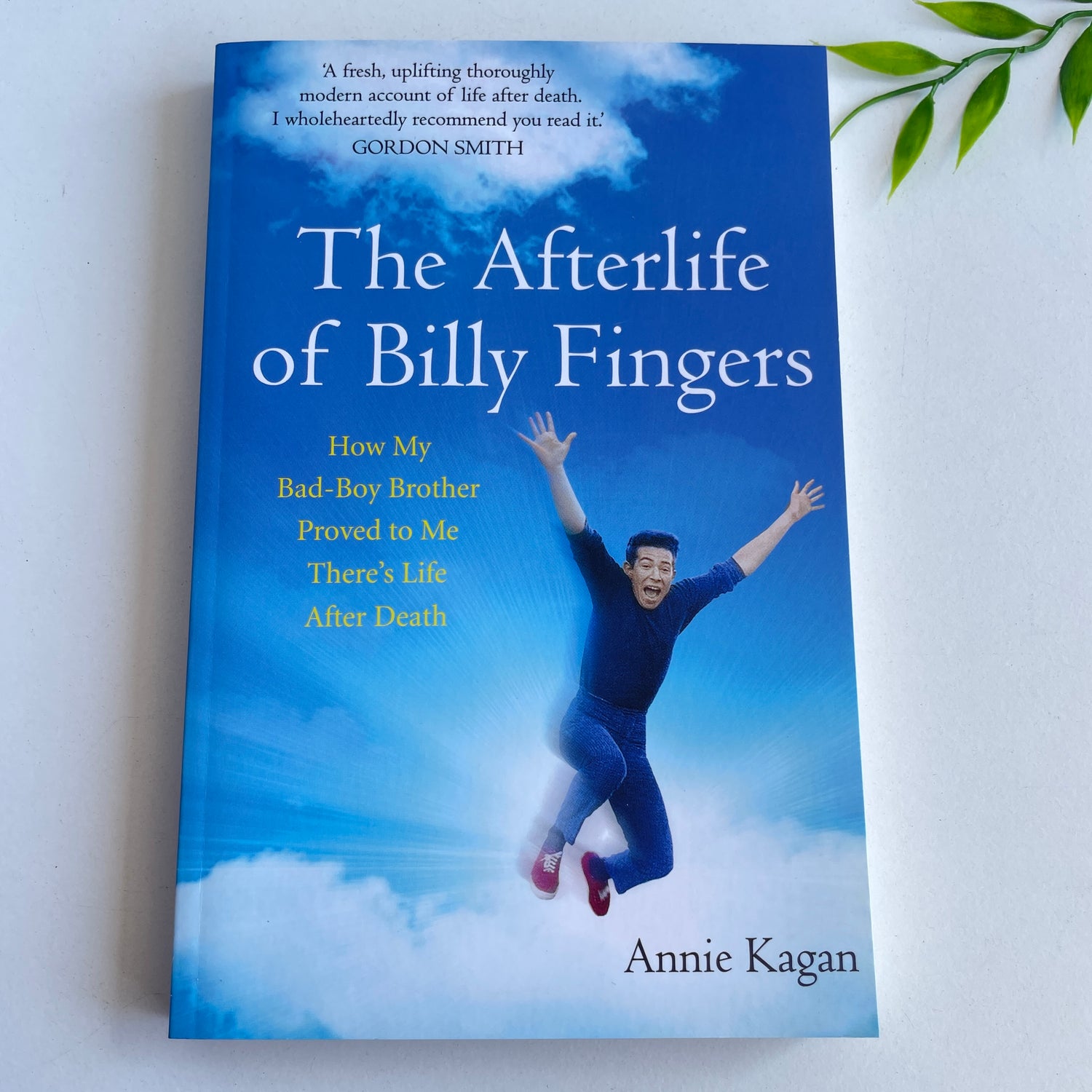 The Afterlife Of Billy Fingers Annie Kagan