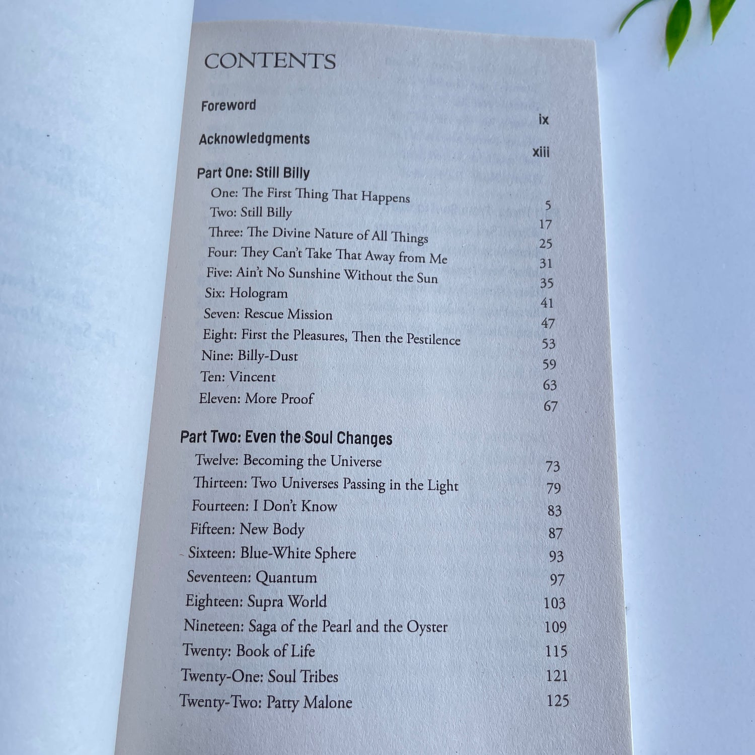 The Afterlife Of Billy Fingers Annie Kagan