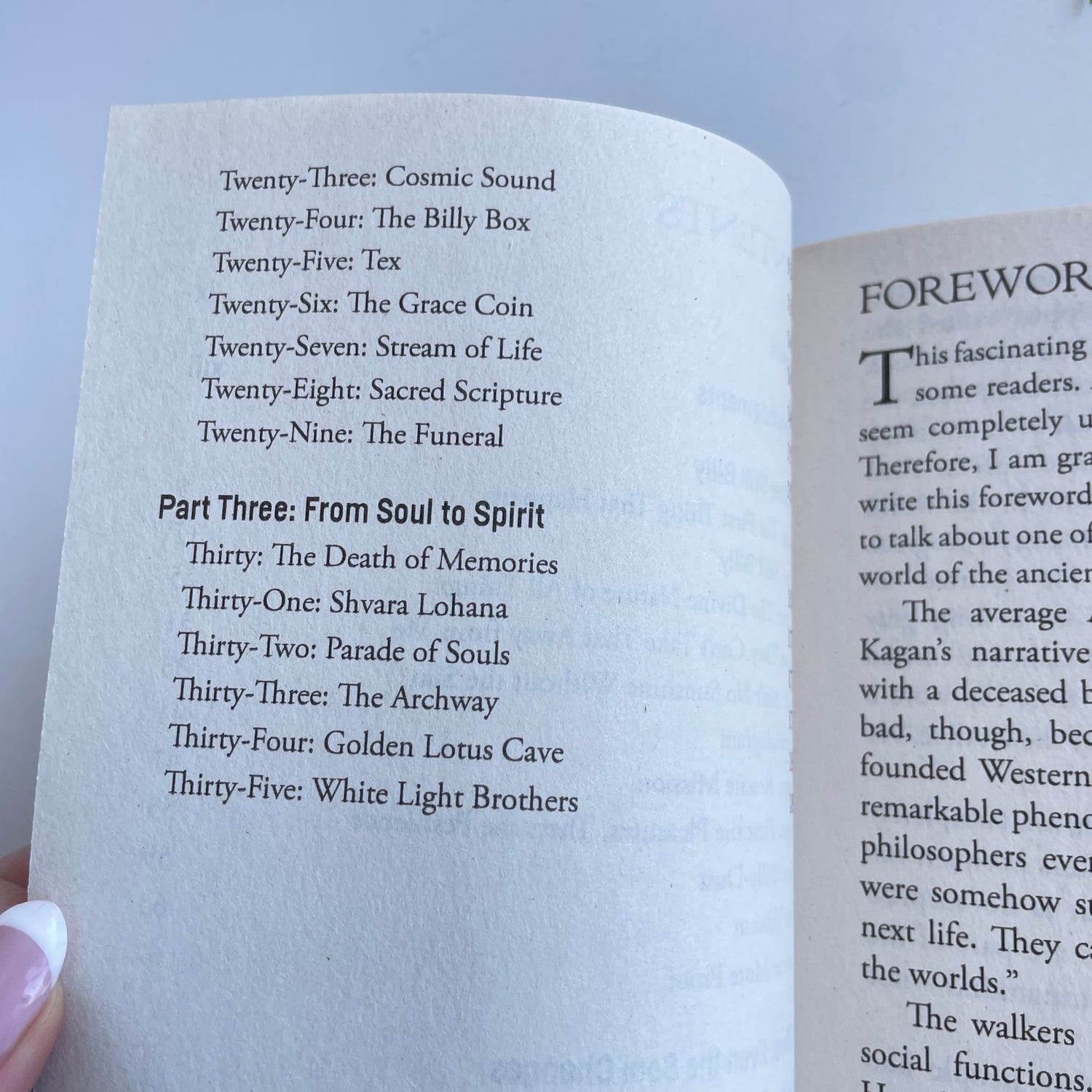 The Afterlife Of Billy Fingers Annie Kagan