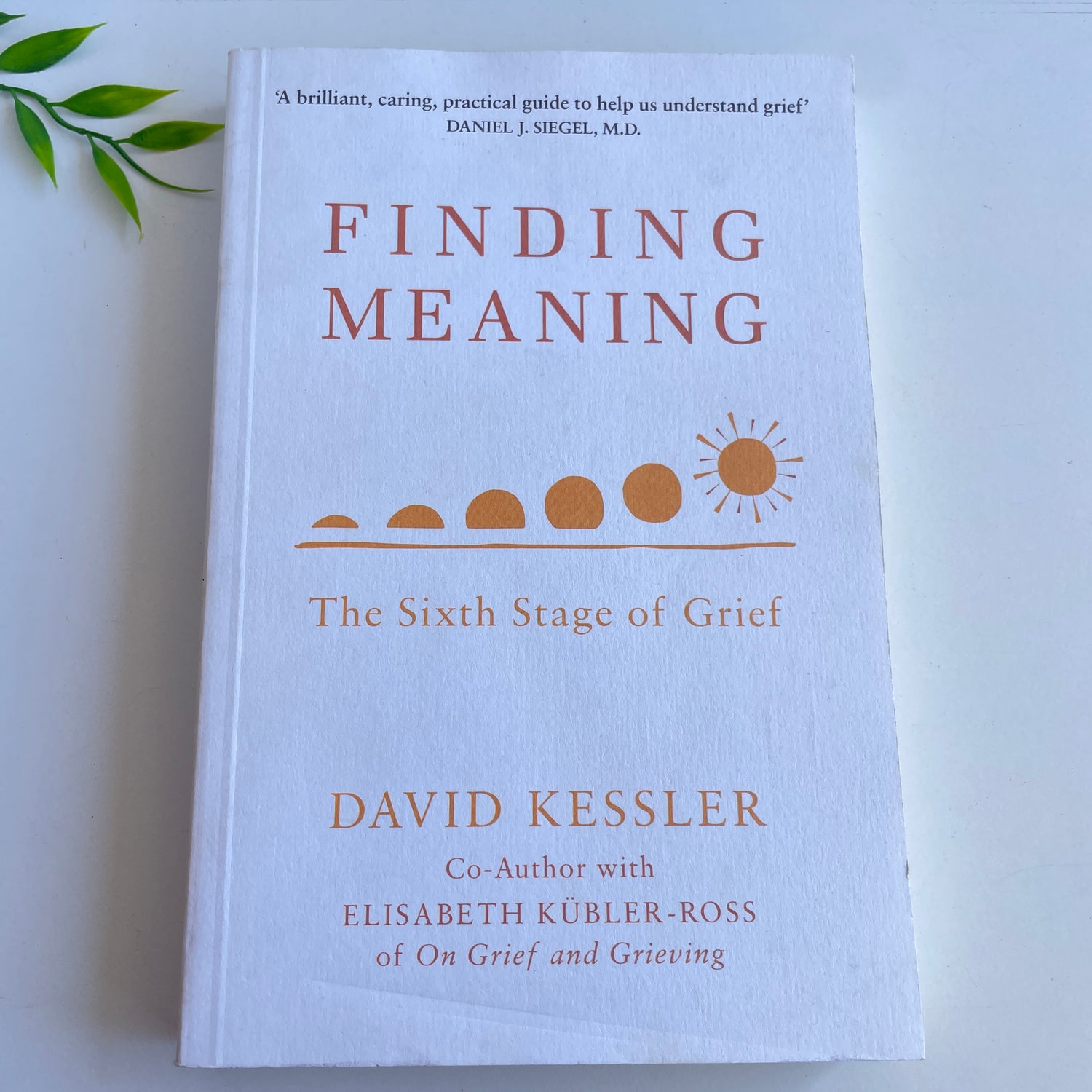 Finding Meaning David Kessler