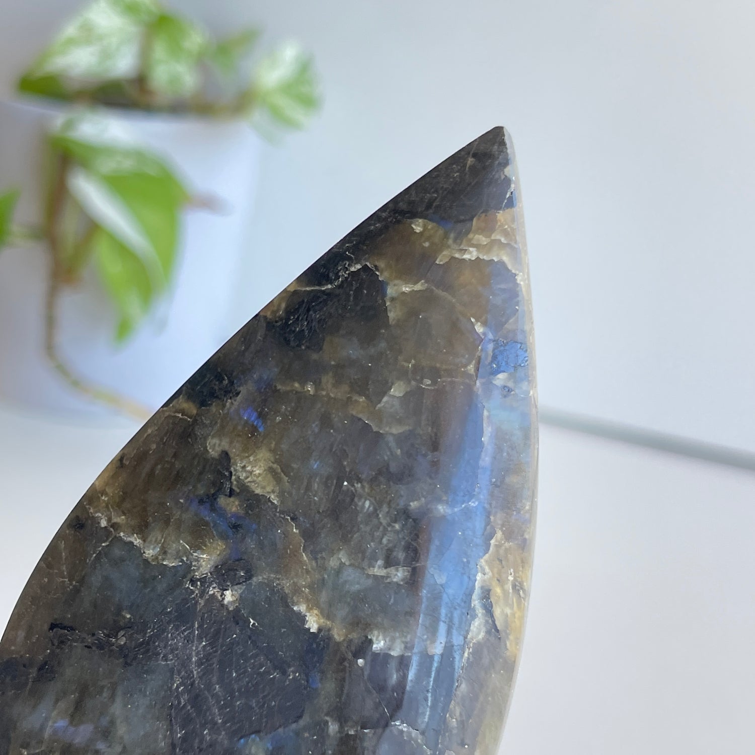 Labradorite Flame 10.2cm