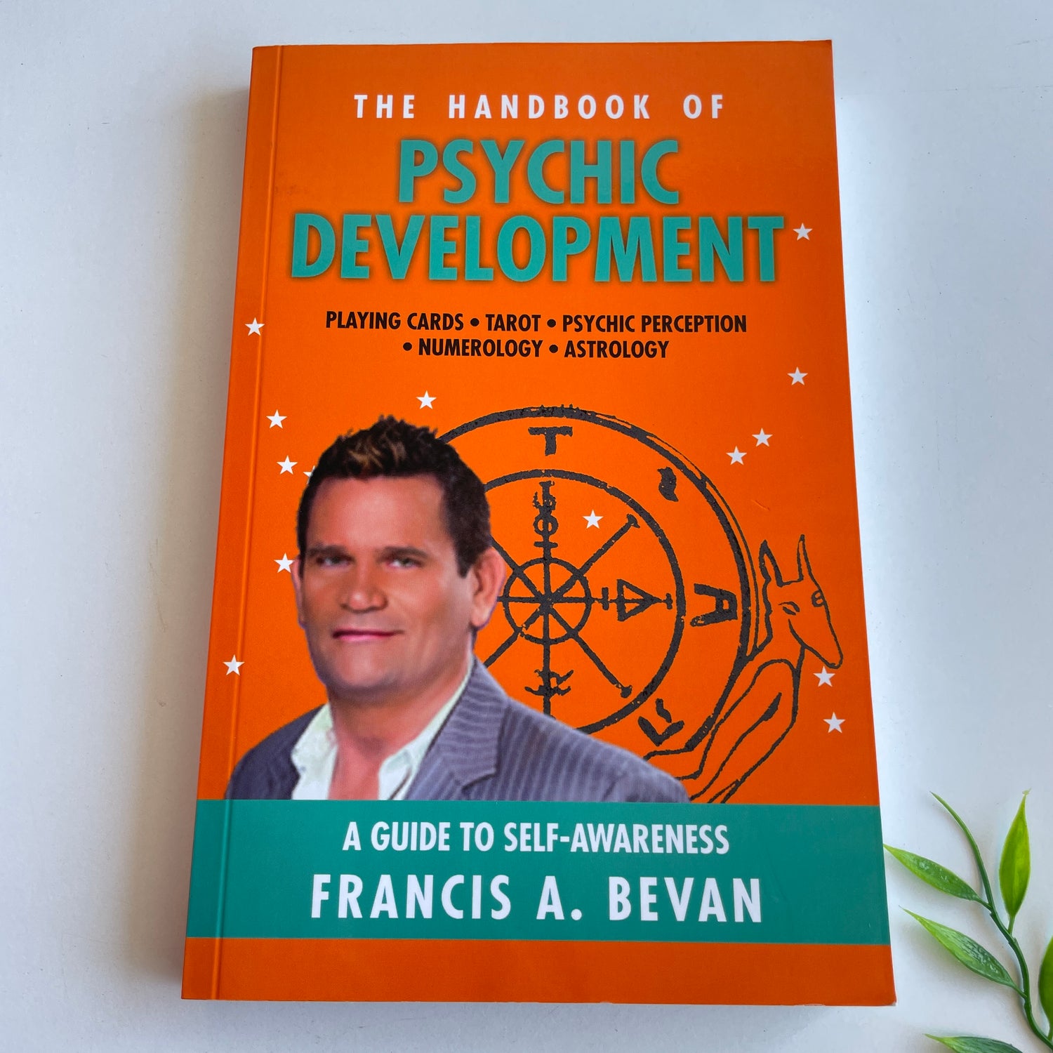 F Bevan The Handbook Of Psychic Development