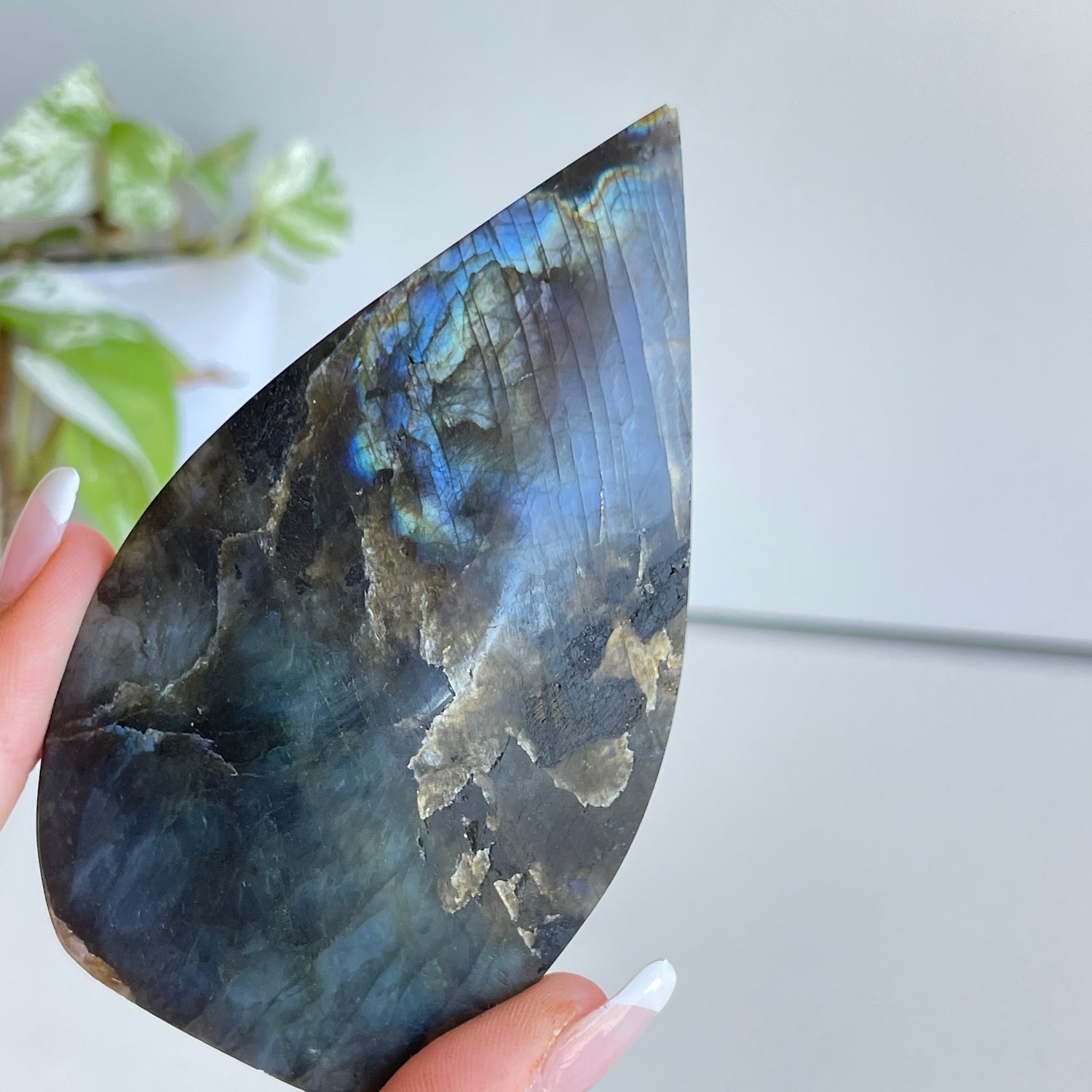 Labradorite Flame 10cm