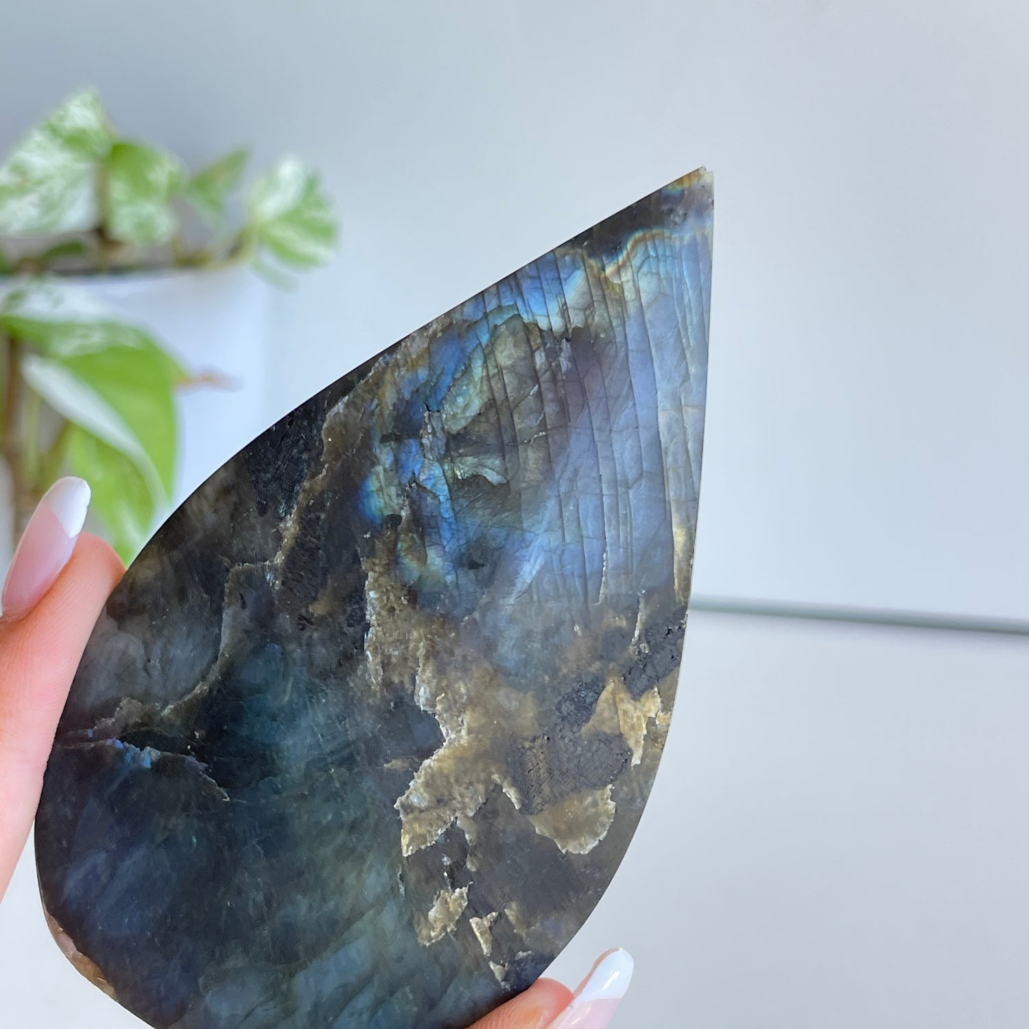 Labradorite Flame 10cm