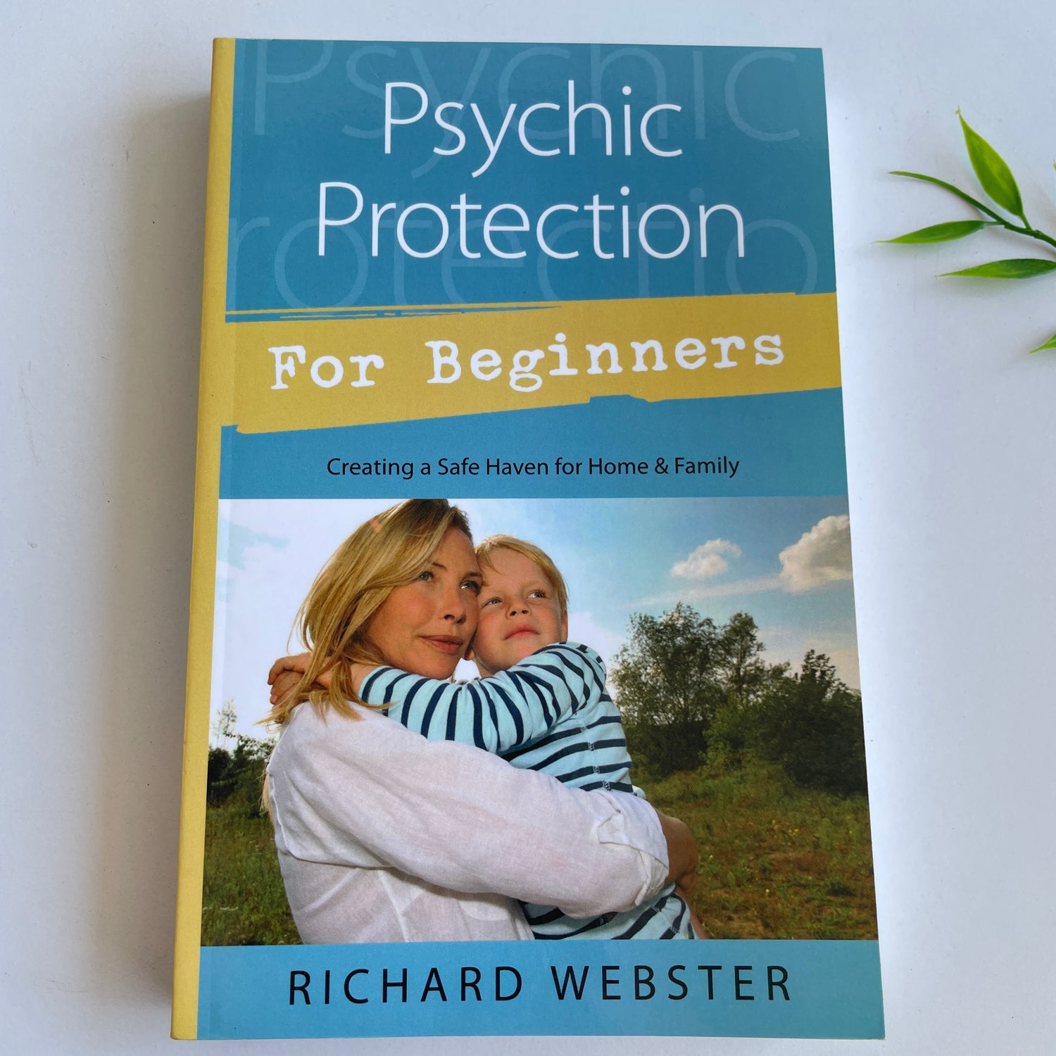 Psychic Protection For Beginners Richard Webster