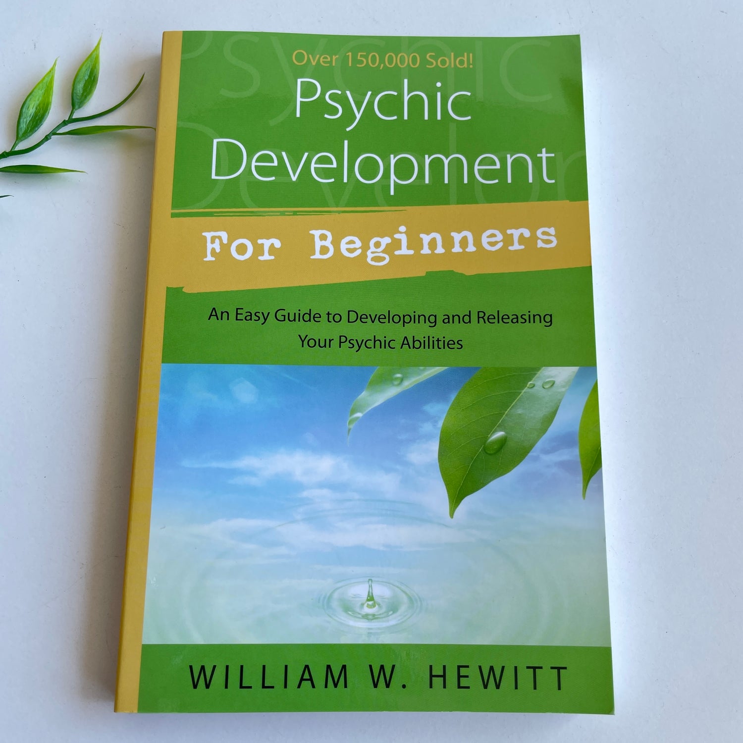 Psychic Development For Beginners William W Hewitt