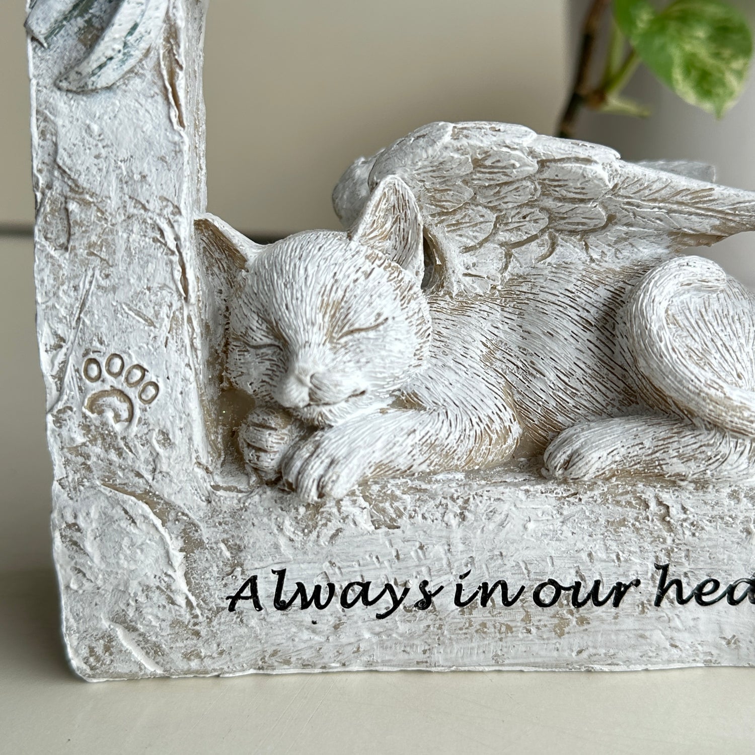 Cat Memorial Plaque MEMDCPLJ