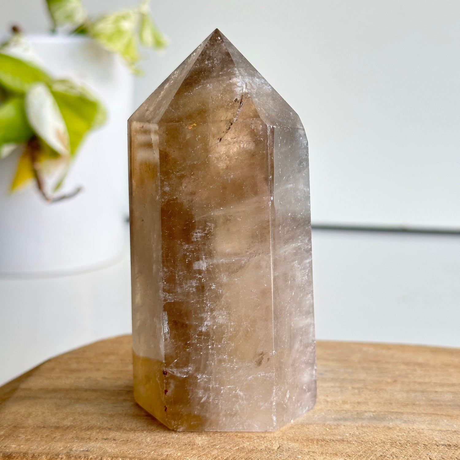 Smoky Quartz Generator 10.3cm