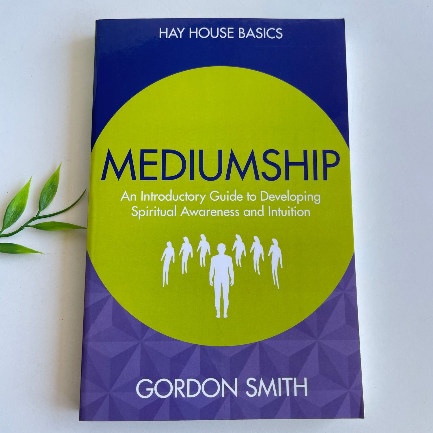 Hay House Basics Mediumship Gordon Smith