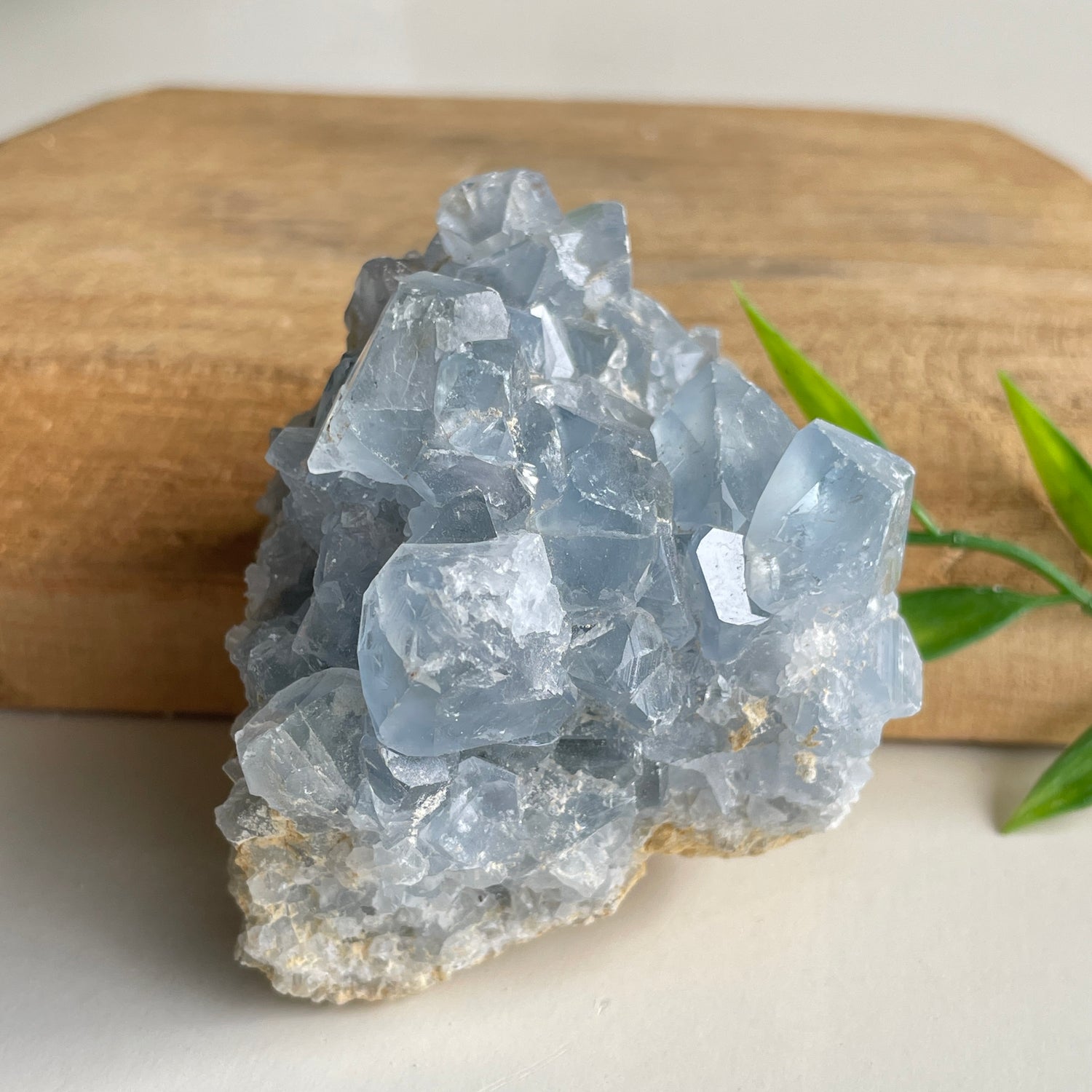 Celestite Cluster 270g