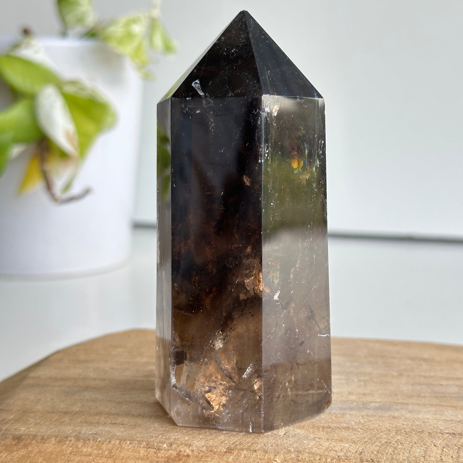 Smoky Quartz Generator 10.4cm (CHIPPED)