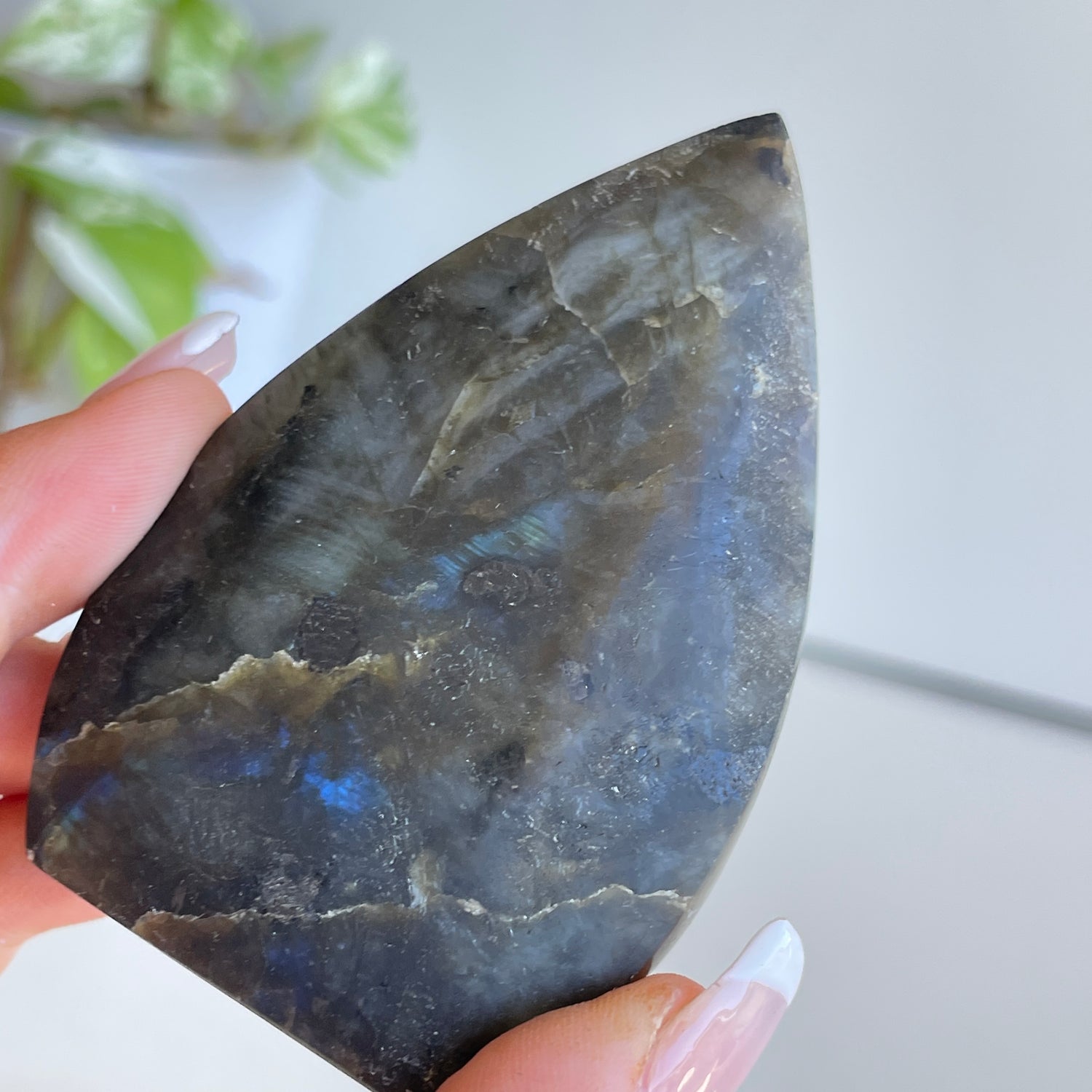 Labradorite Flame 7.8cm