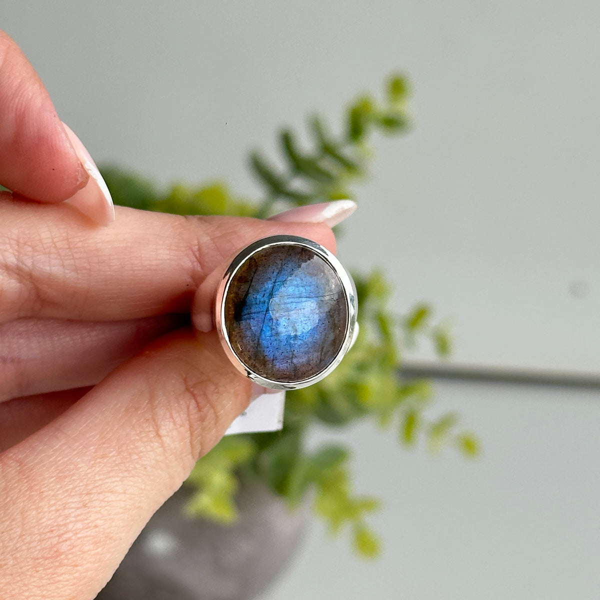 Labradorite Oval Ring Sz9