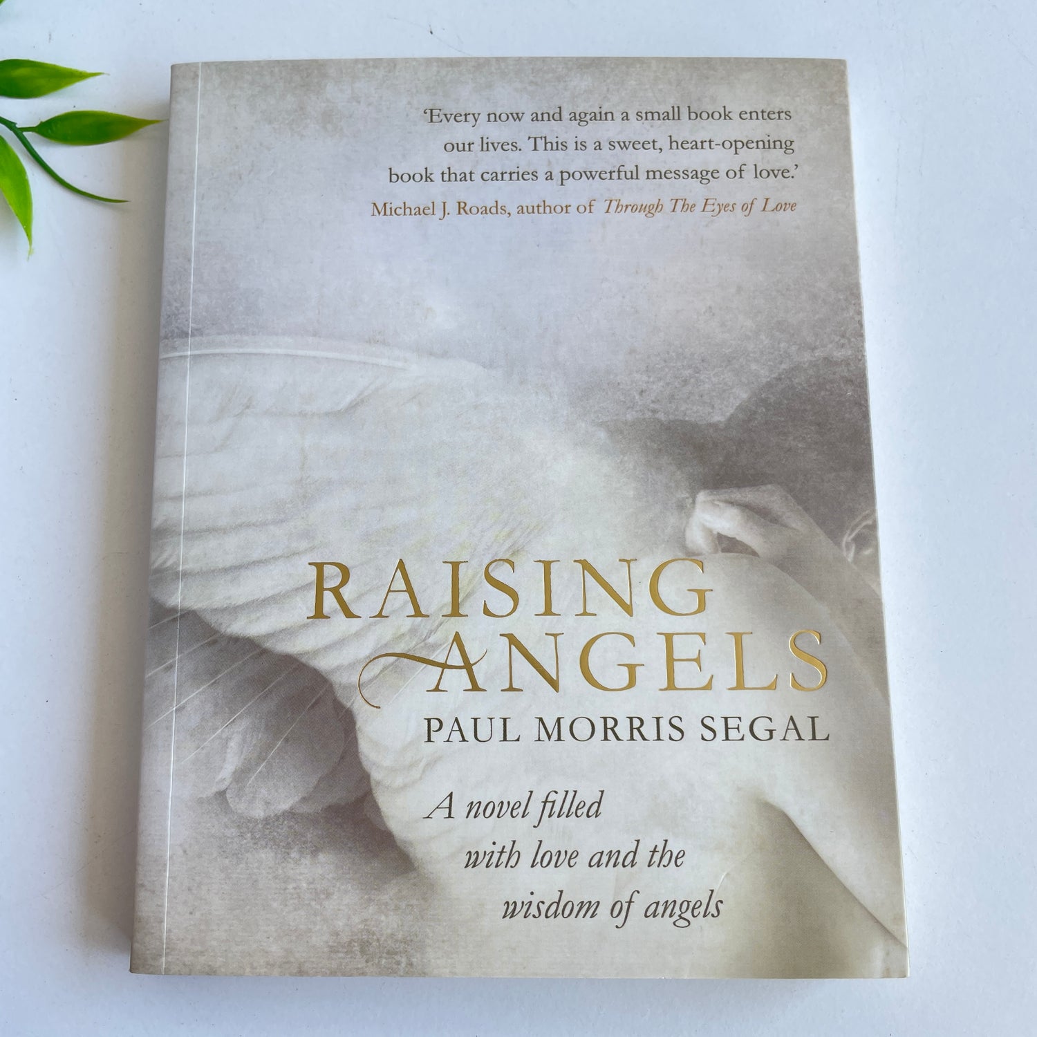 P.Segal Raising Angels